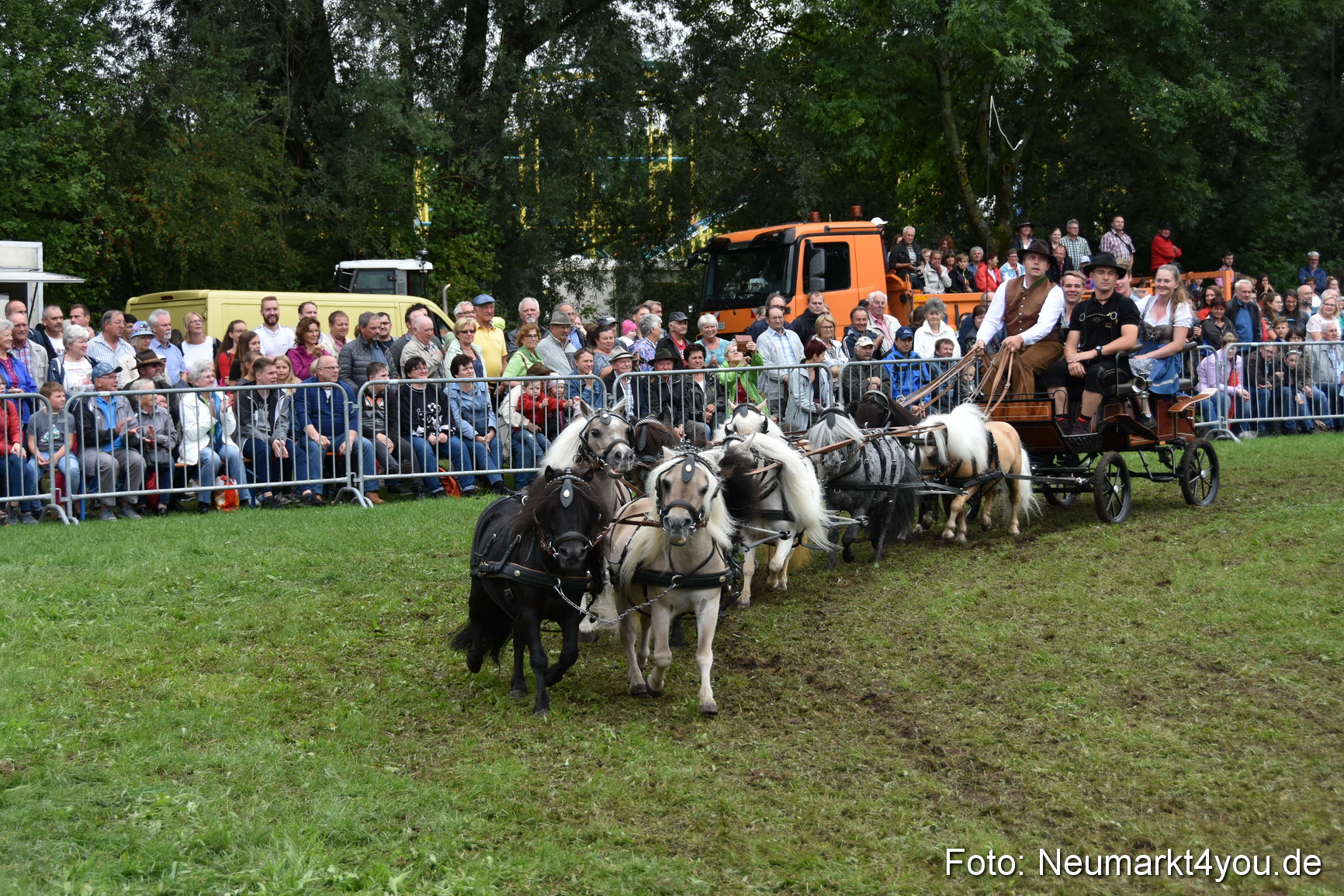JURA Volksfest Pferdeshow 190819 0303