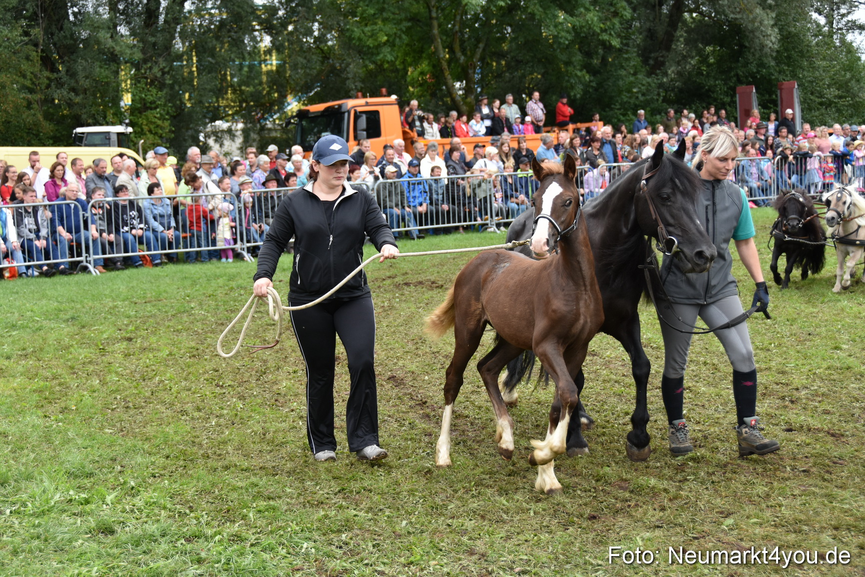JURA Volksfest Pferdeshow 190819 0309