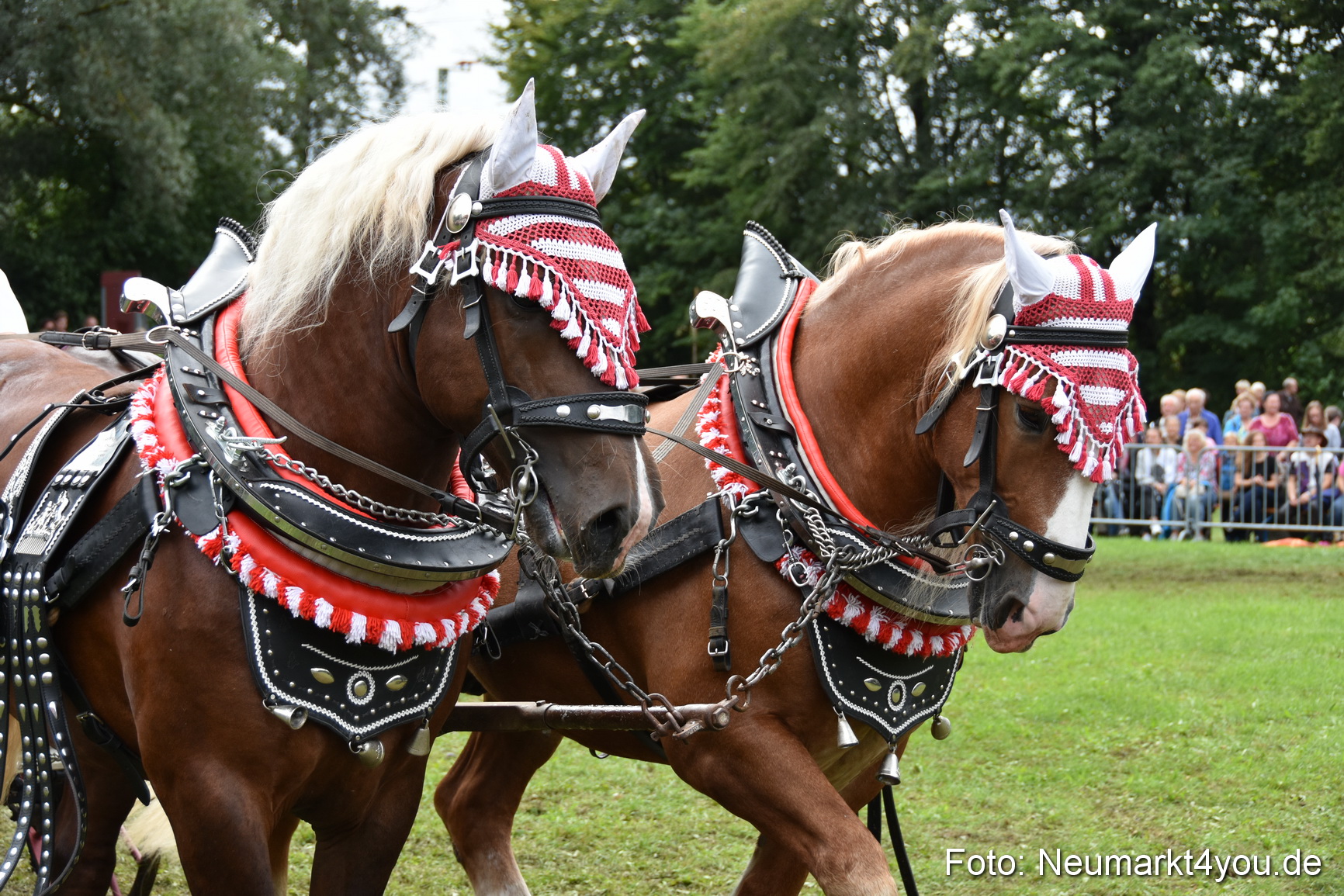 JURA Volksfest Pferdeshow 190819 0323