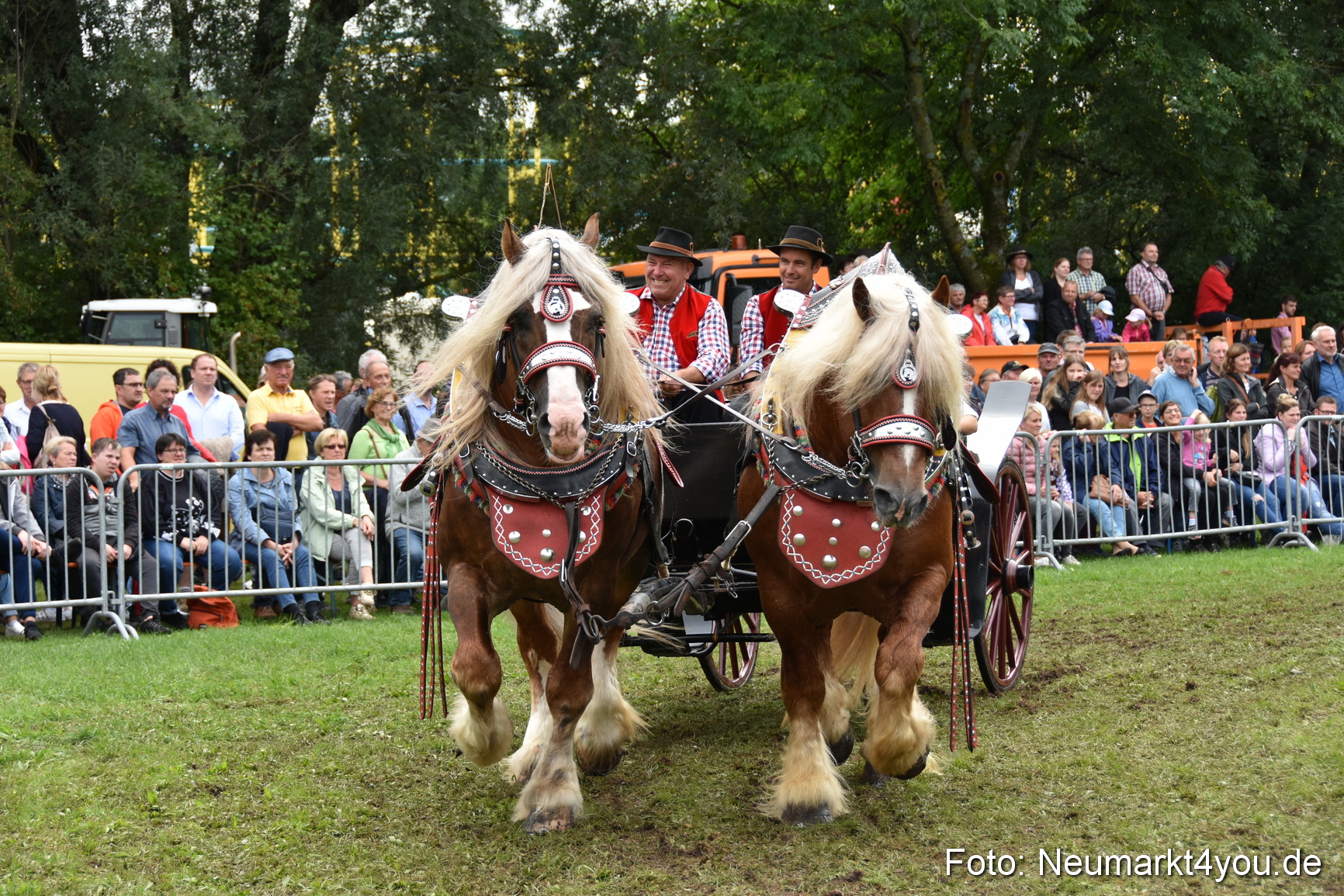 JURA Volksfest Pferdeshow 190819 0325