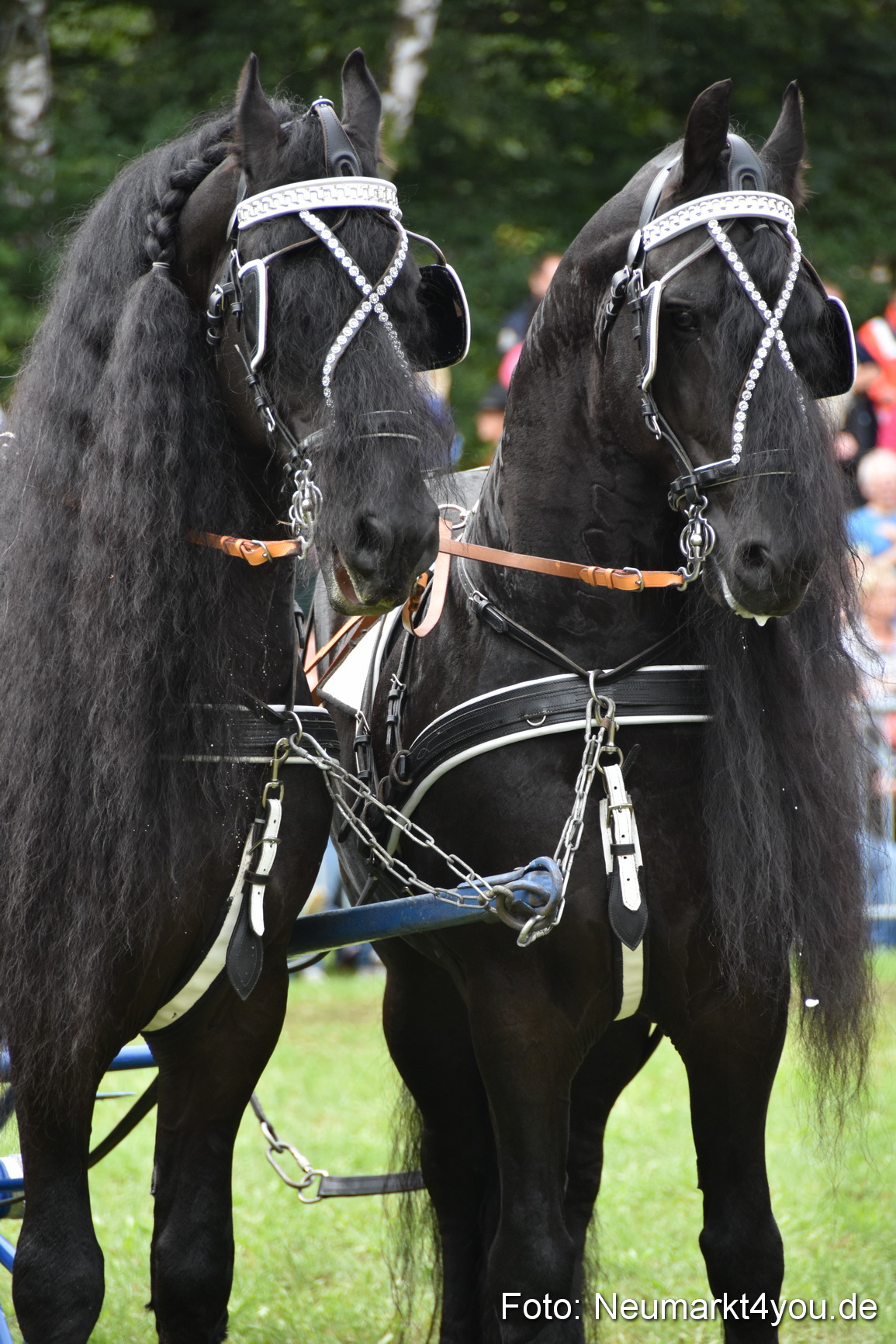 JURA Volksfest Pferdeshow 190819 0331