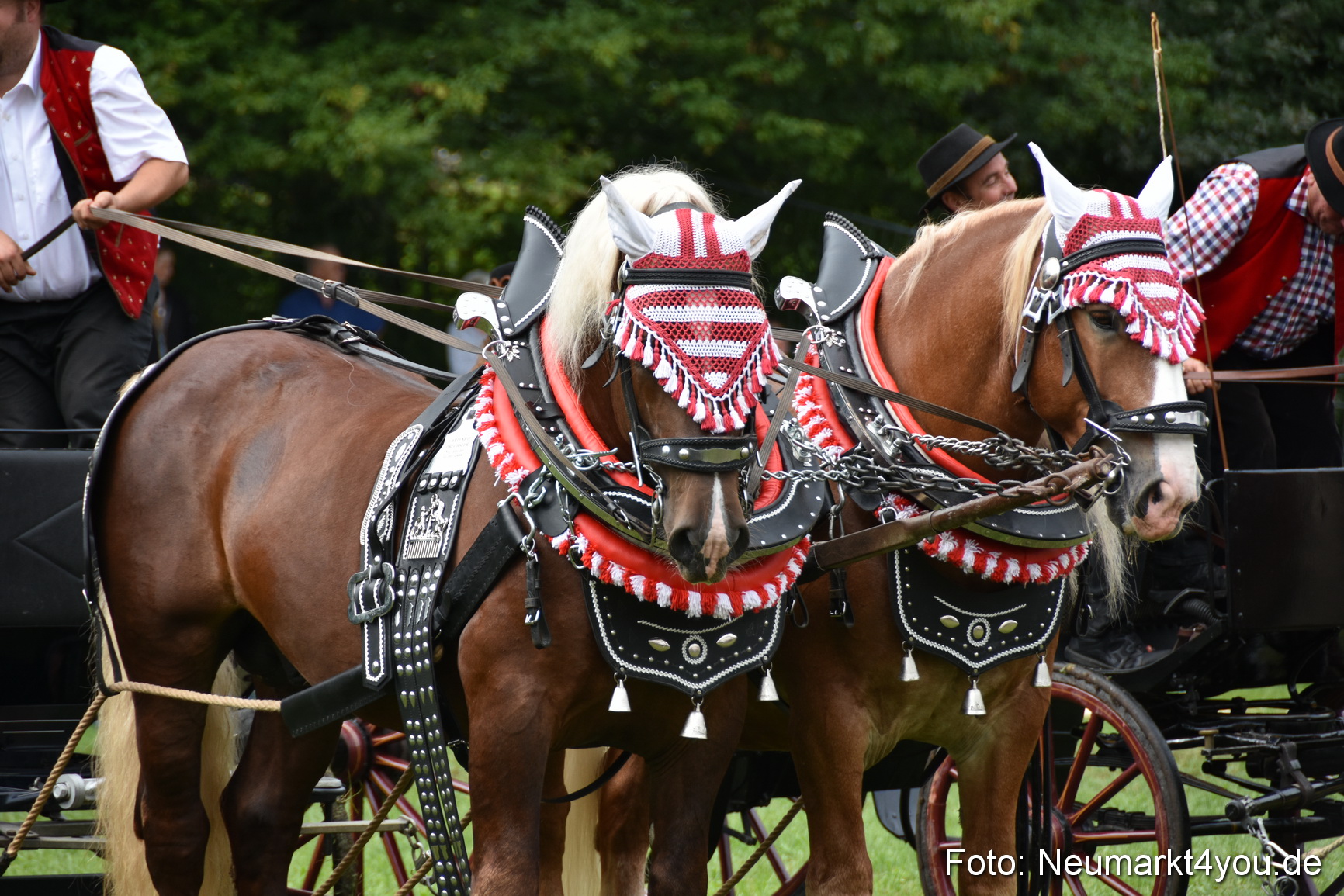 JURA Volksfest Pferdeshow 190819 0332