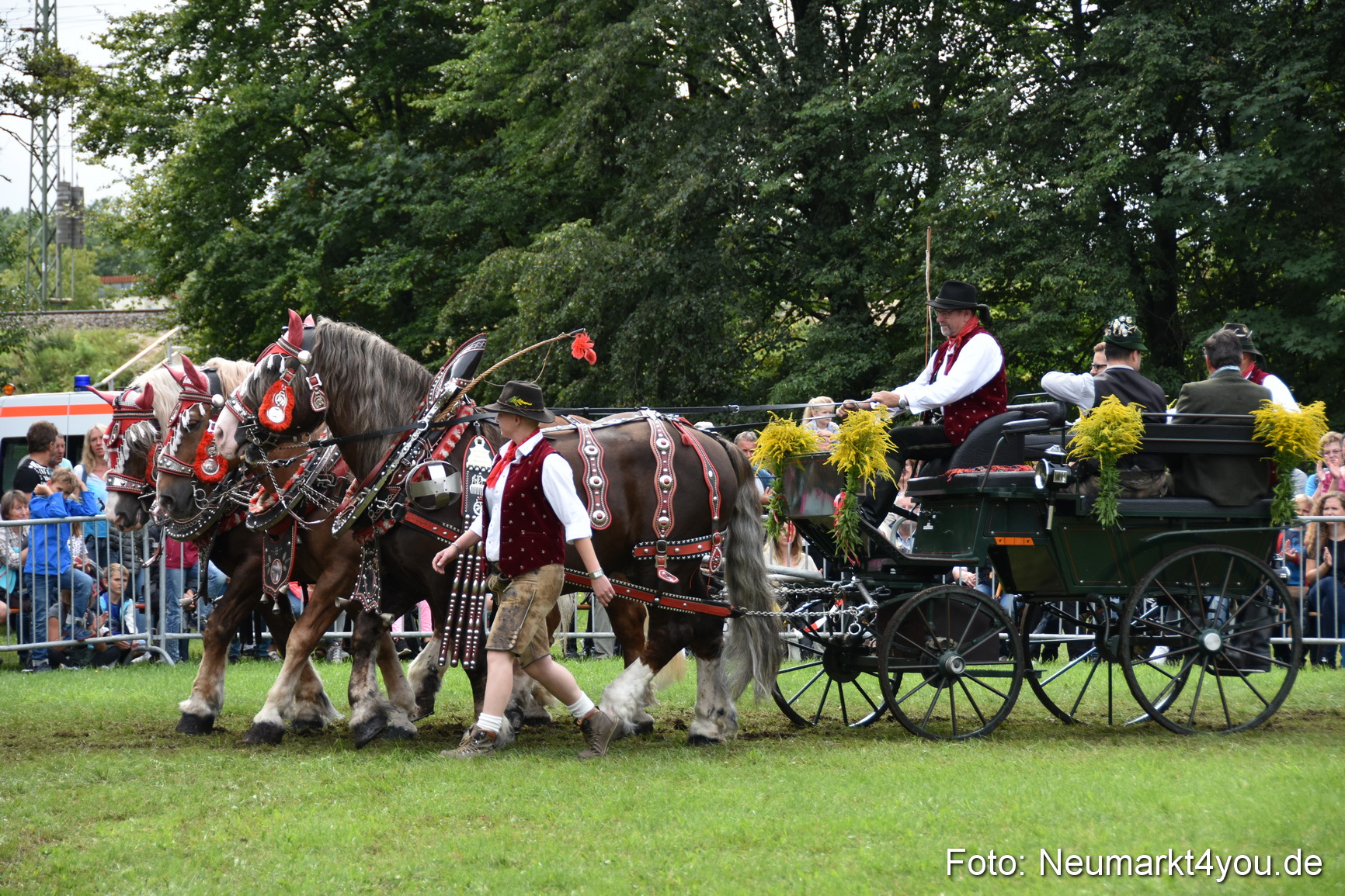 JURA Volksfest Pferdeshow 190819 0341