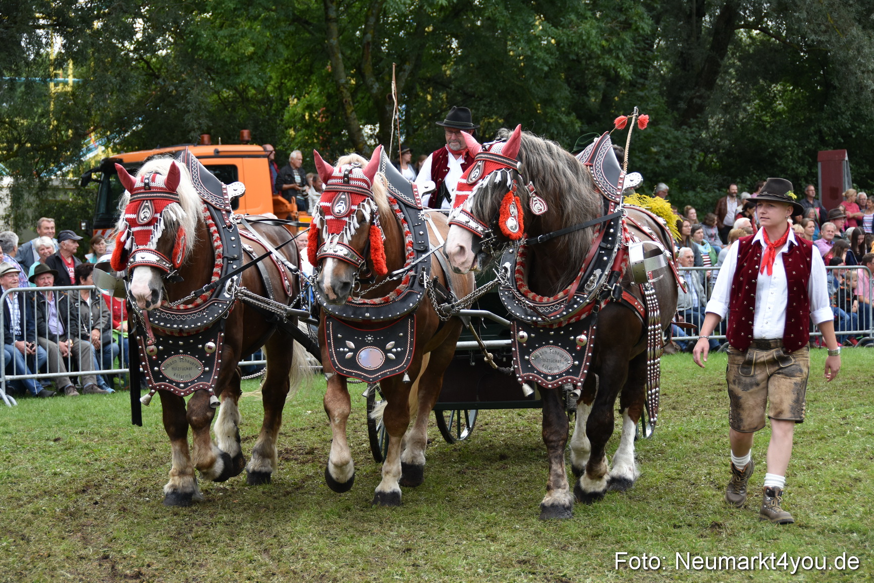 JURA Volksfest Pferdeshow 190819 0342