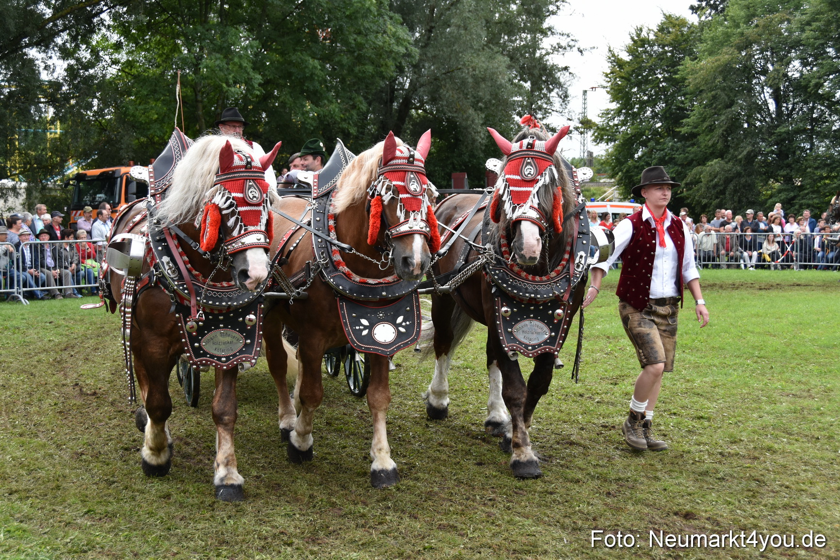 JURA Volksfest Pferdeshow 190819 0343