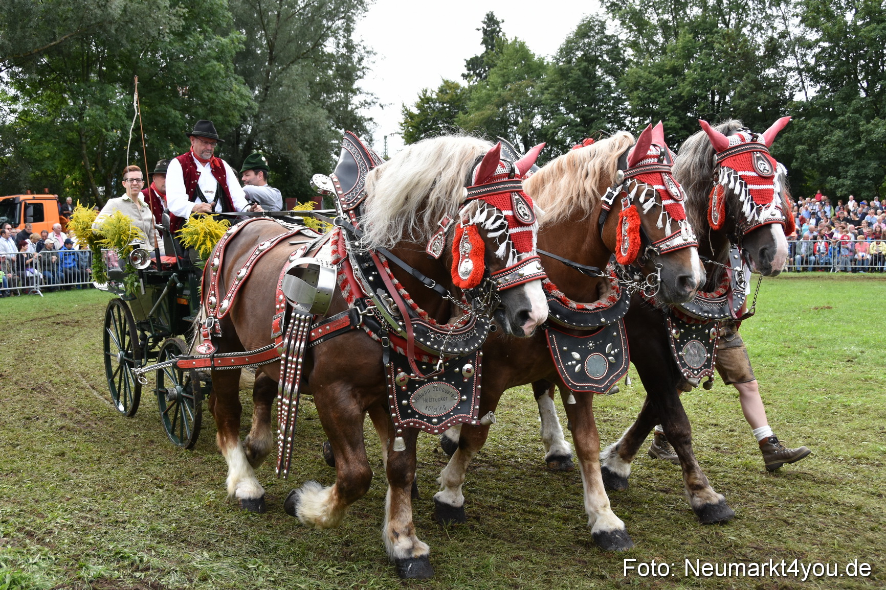 JURA Volksfest Pferdeshow 190819 0344