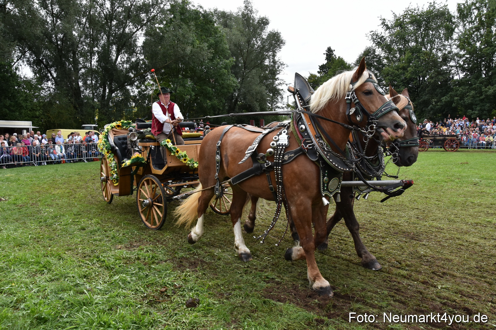 JURA Volksfest Pferdeshow 190819 0347
