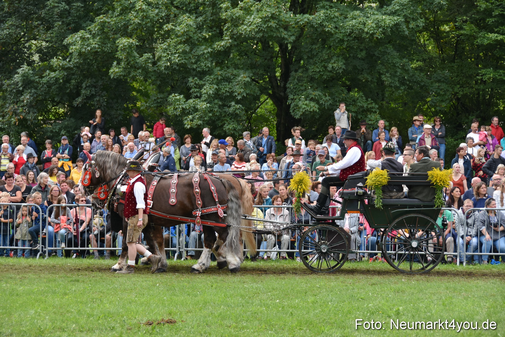 JURA Volksfest Pferdeshow 190819 0351