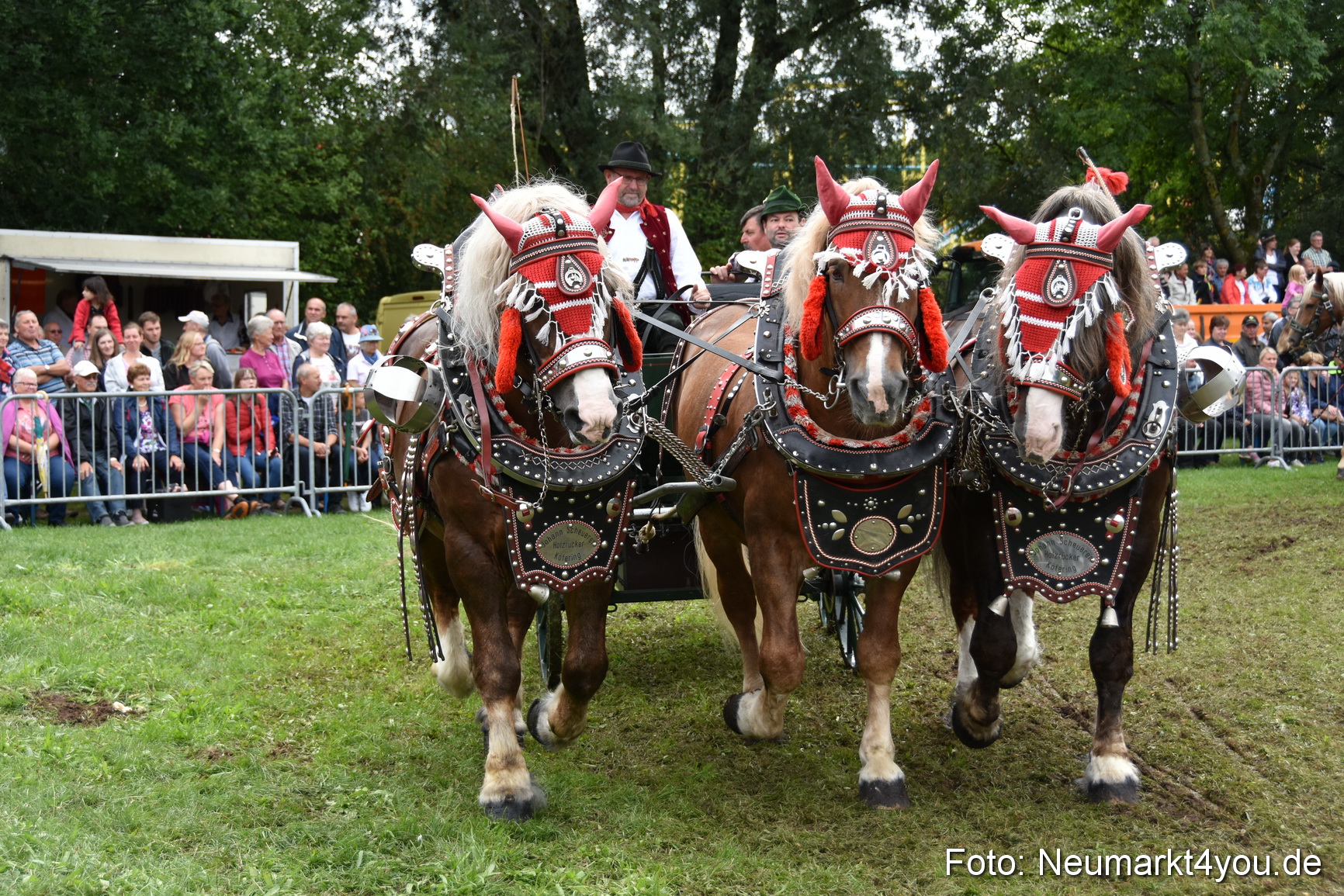 JURA Volksfest Pferdeshow 190819 0353