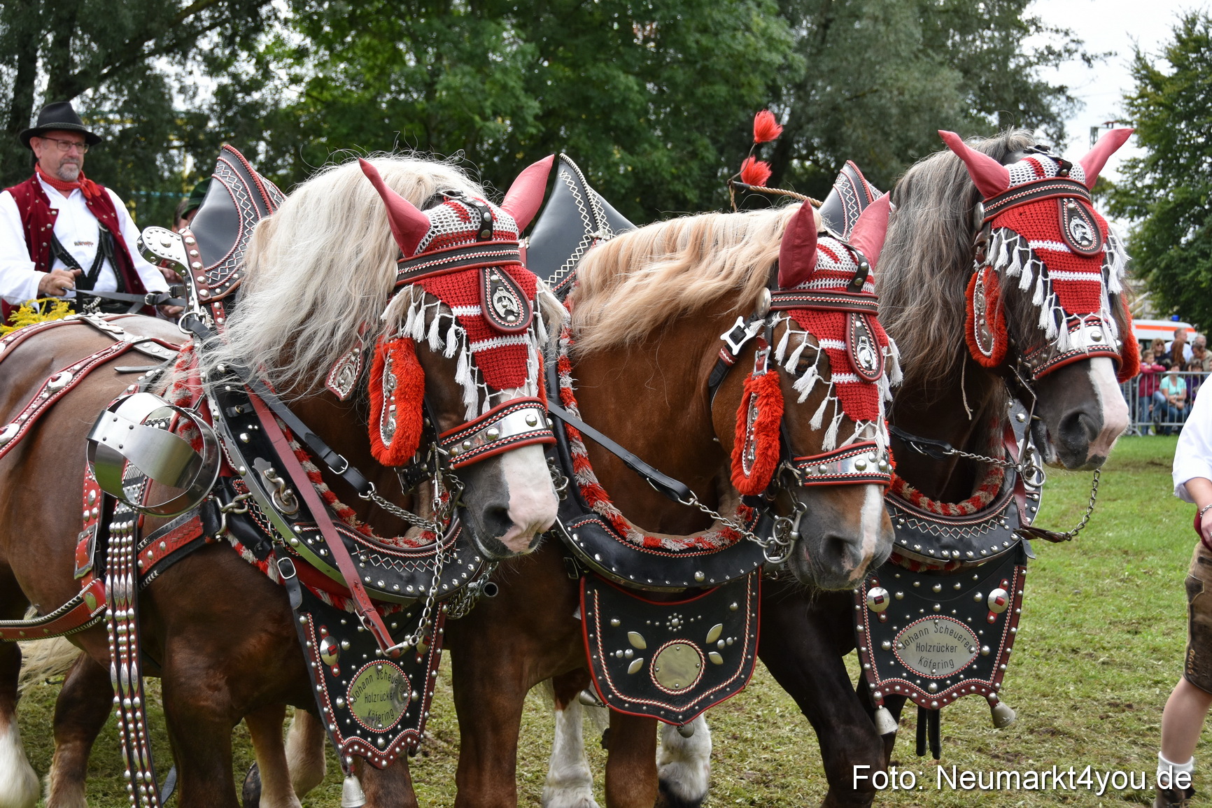 JURA Volksfest Pferdeshow 190819 0354