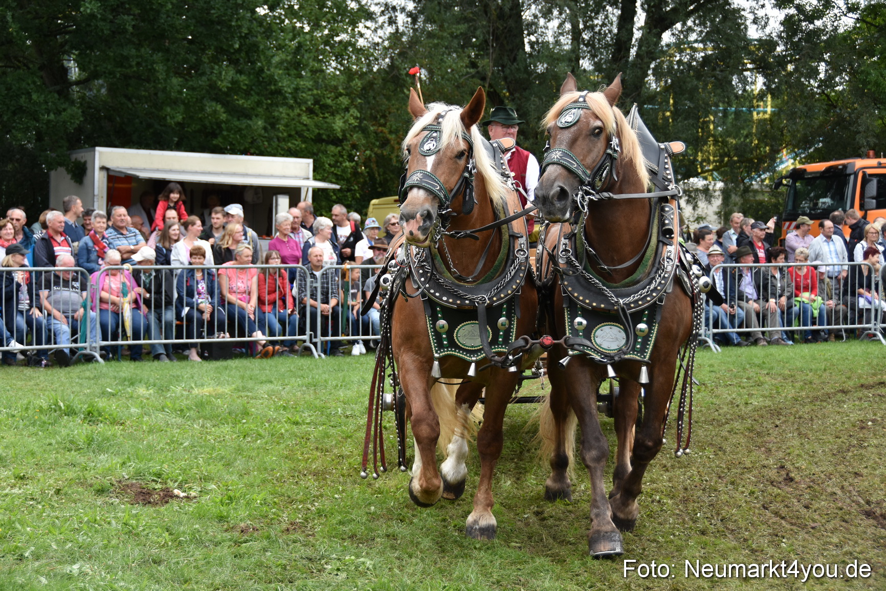 JURA Volksfest Pferdeshow 190819 0355