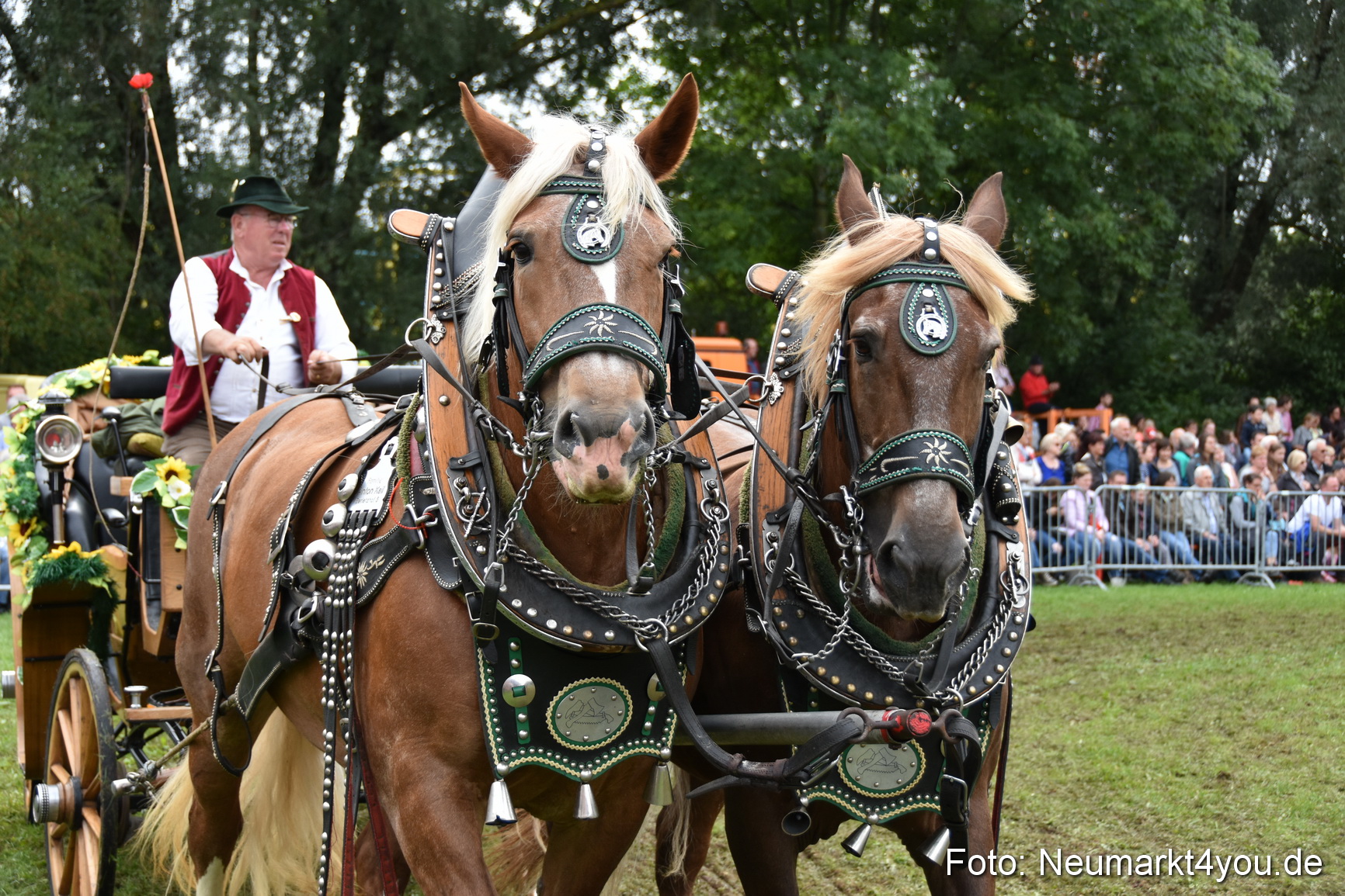 JURA Volksfest Pferdeshow 190819 0356