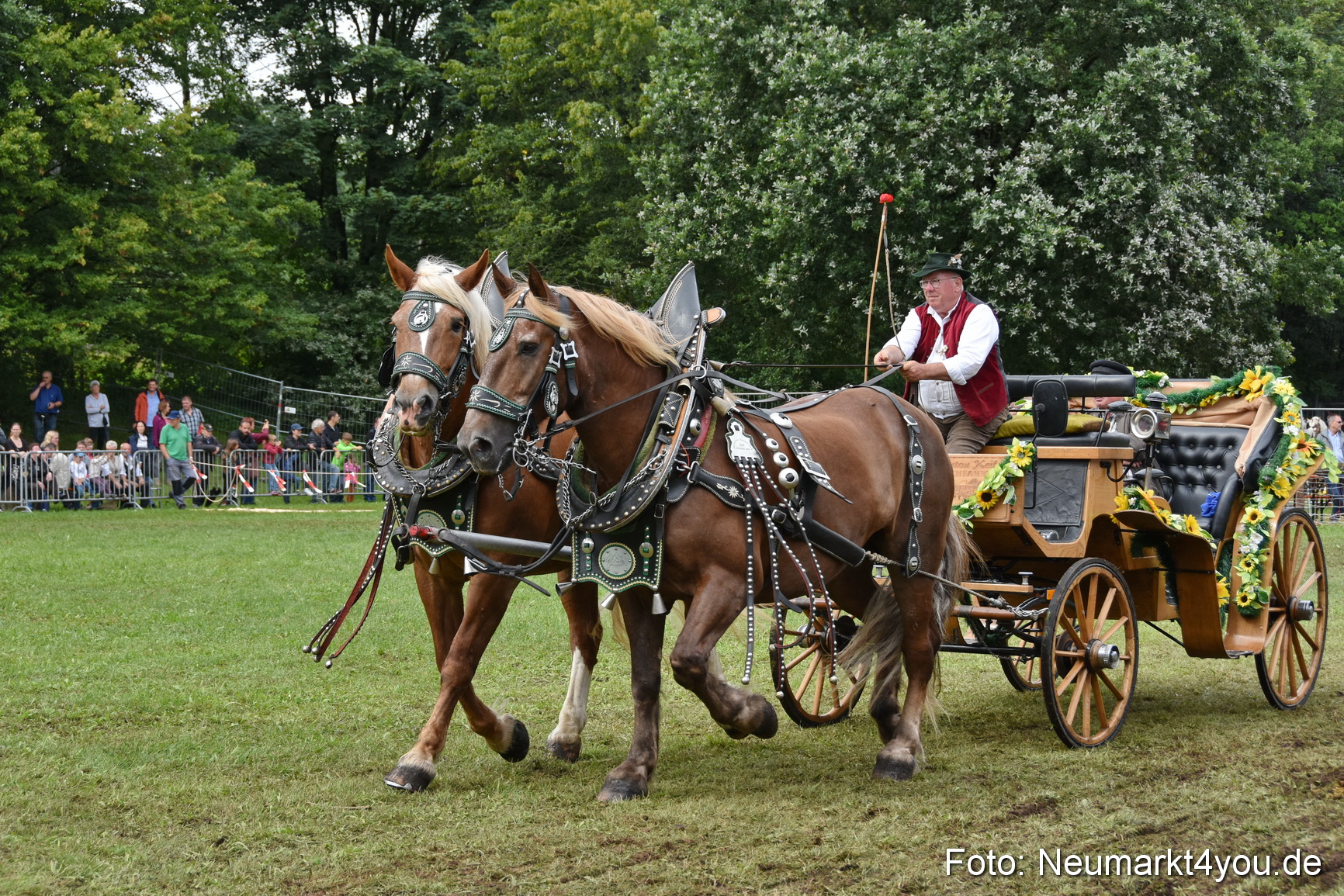 JURA Volksfest Pferdeshow 190819 0361