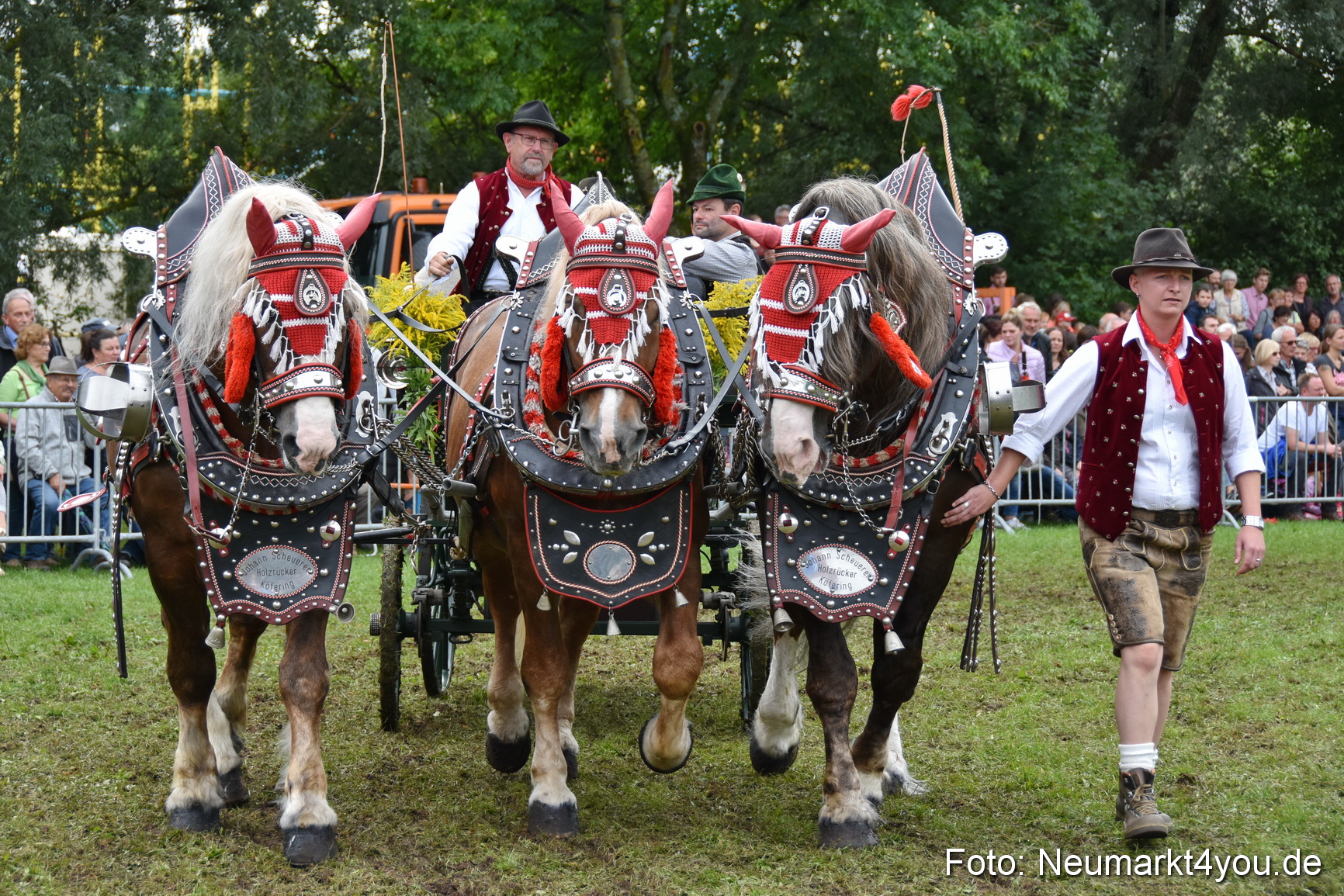 JURA Volksfest Pferdeshow 190819 0363