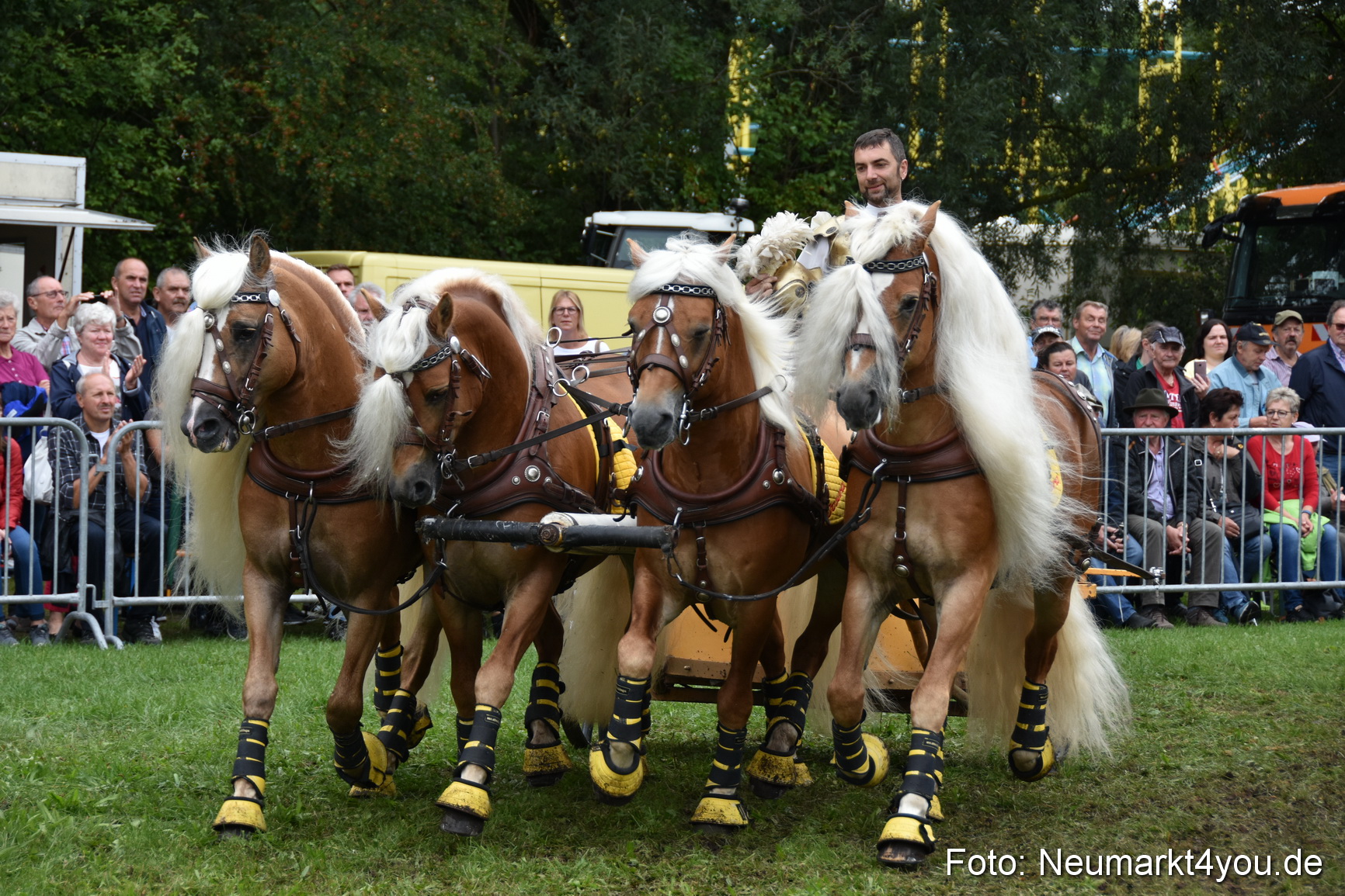 JURA Volksfest Pferdeshow 190819 0366