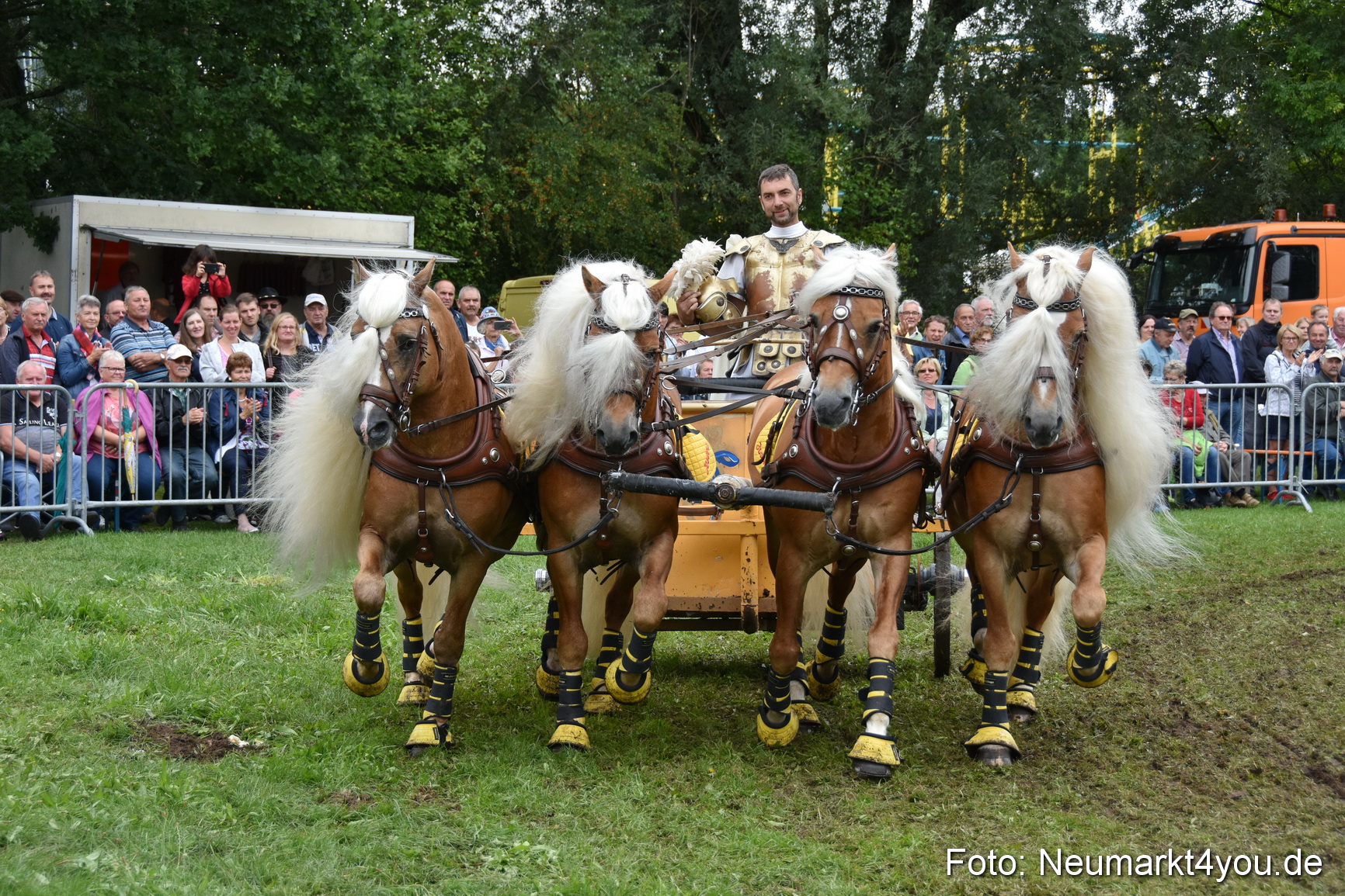 JURA Volksfest Pferdeshow 190819 0367