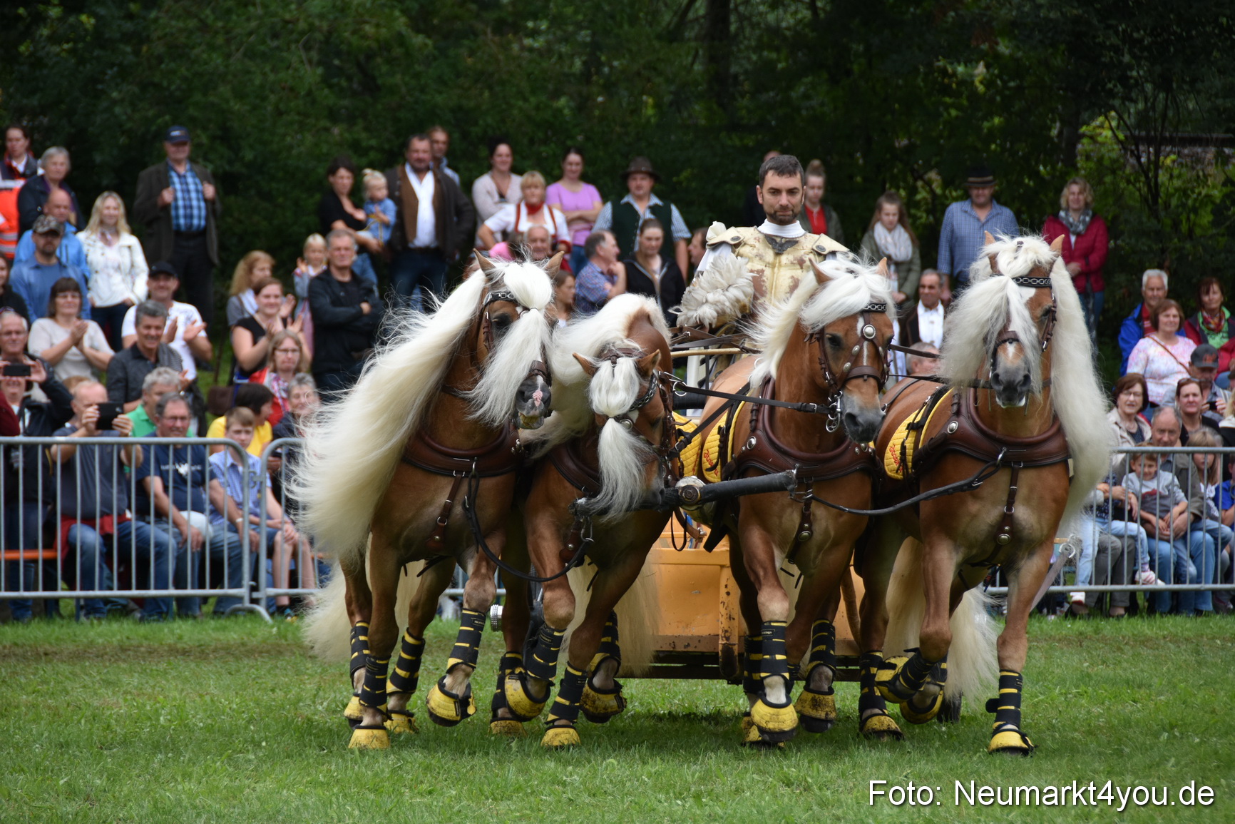 JURA Volksfest Pferdeshow 190819 0369