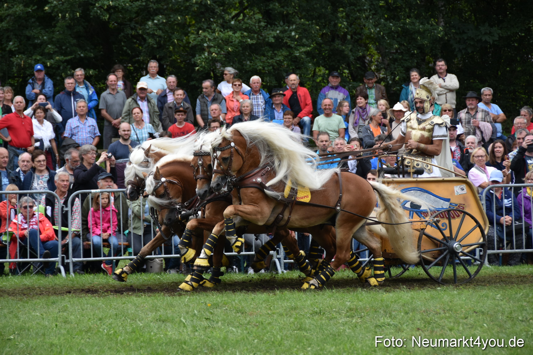 JURA Volksfest Pferdeshow 190819 0371