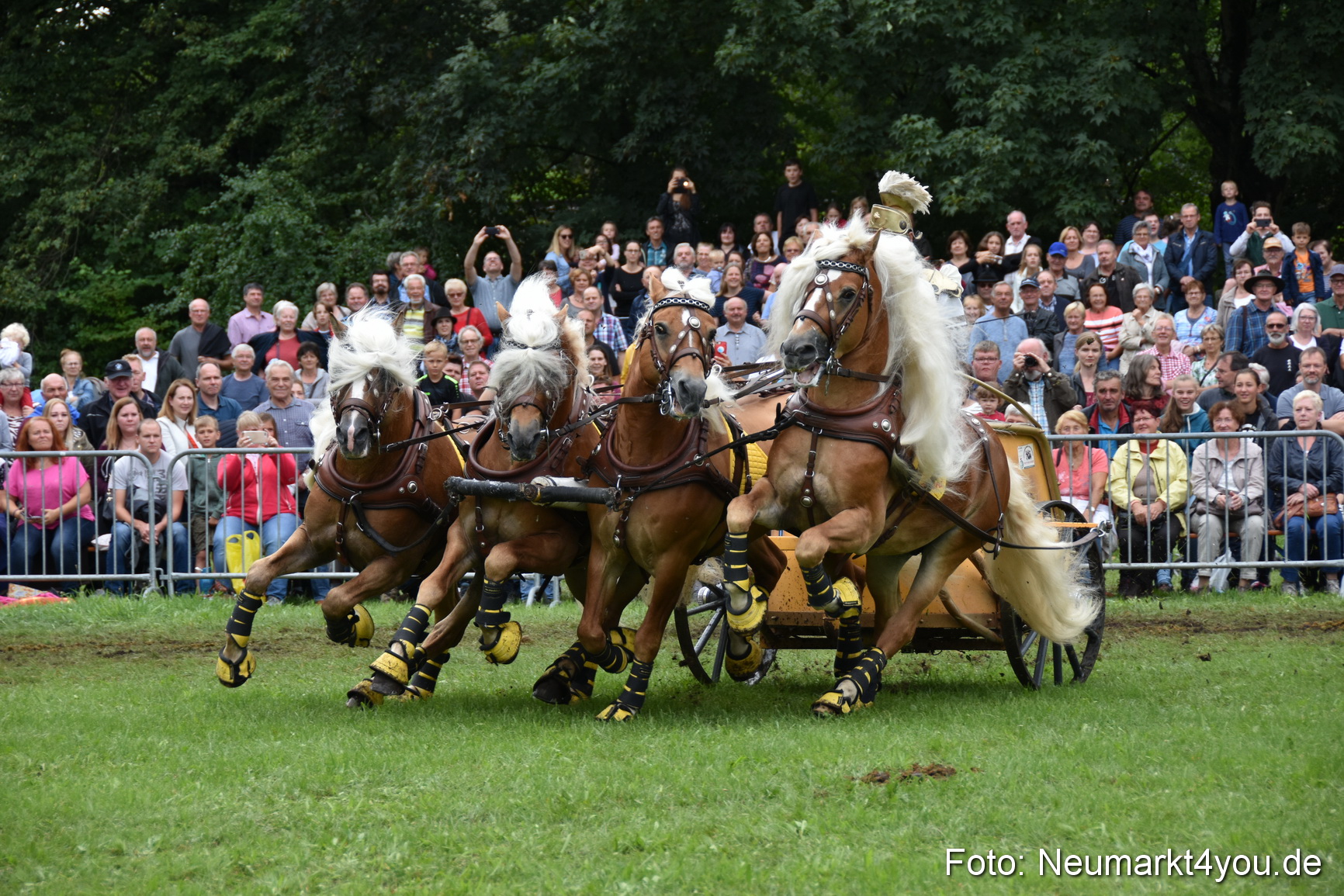 JURA Volksfest Pferdeshow 190819 0372