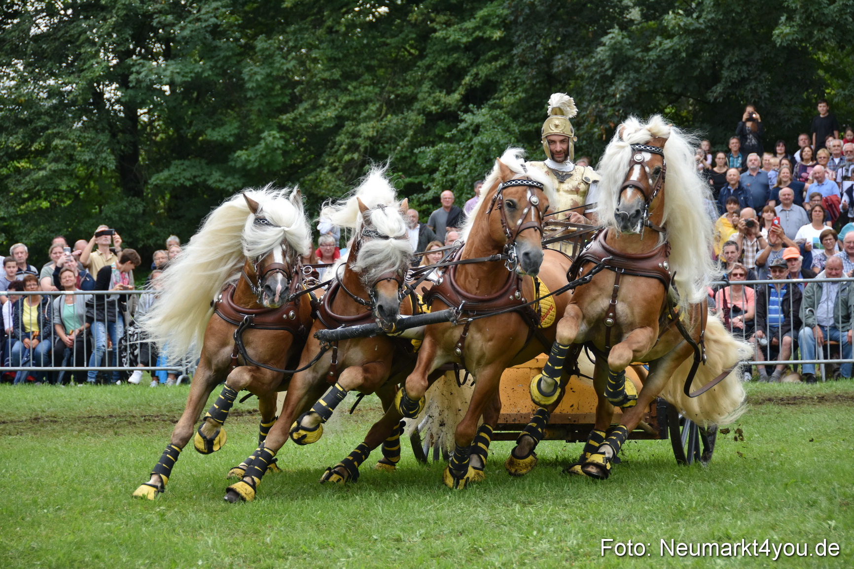 JURA Volksfest Pferdeshow 190819 0373