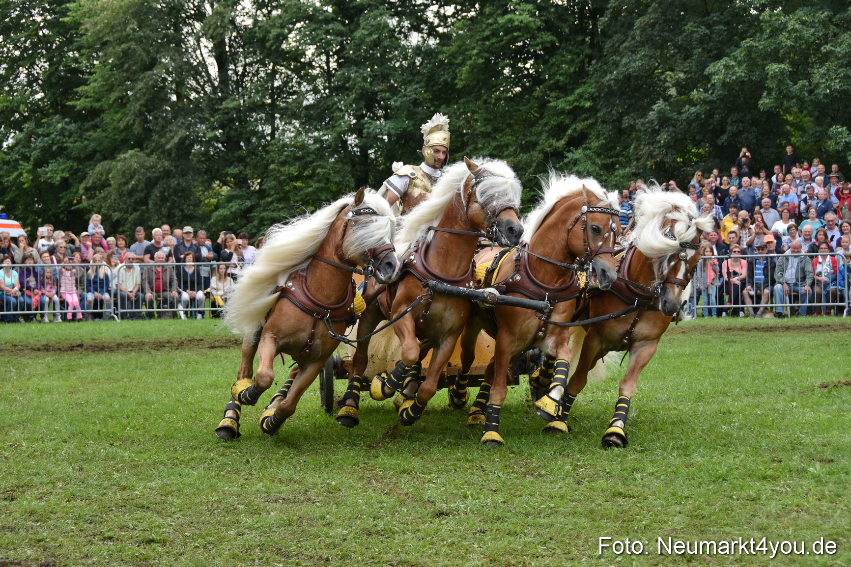 JURA Volksfest Pferdeshow 190819 0374