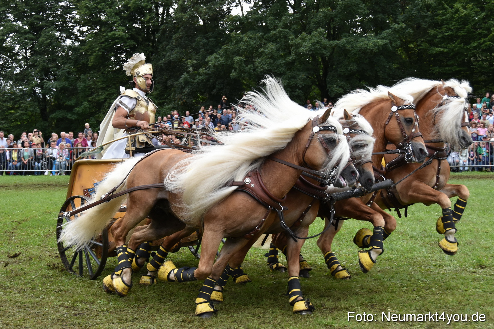 JURA Volksfest Pferdeshow 190819 0375