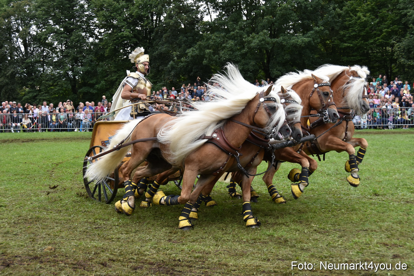JURA Volksfest Pferdeshow 190819 0376