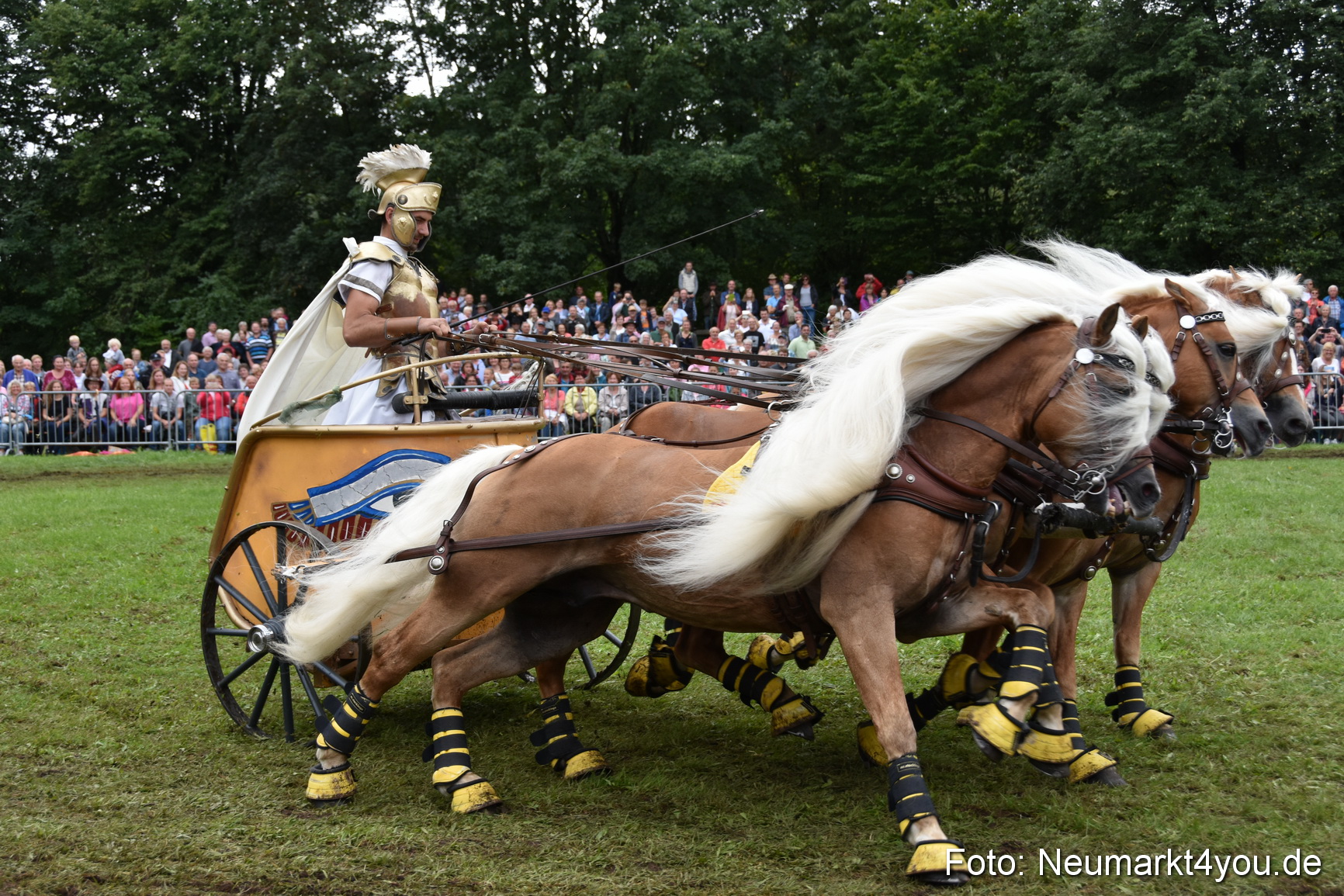 JURA Volksfest Pferdeshow 190819 0377