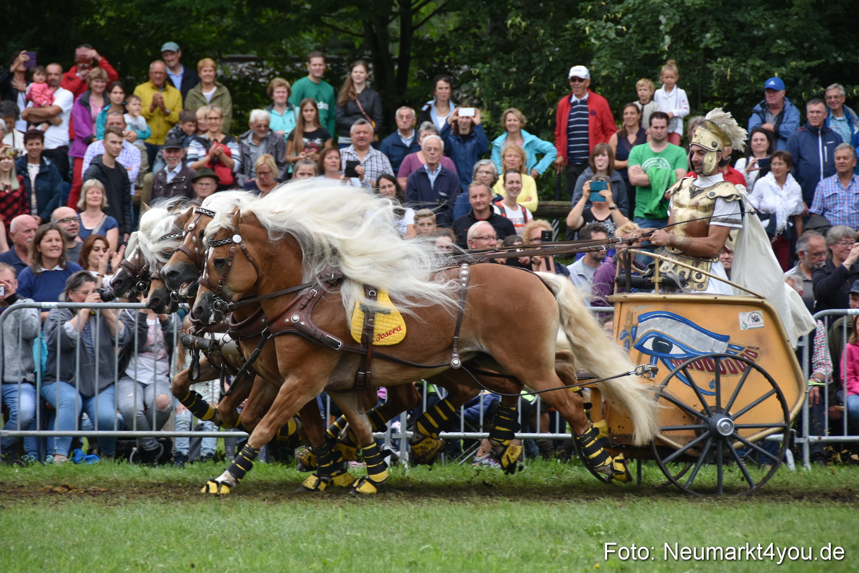 JURA Volksfest Pferdeshow 190819 0378