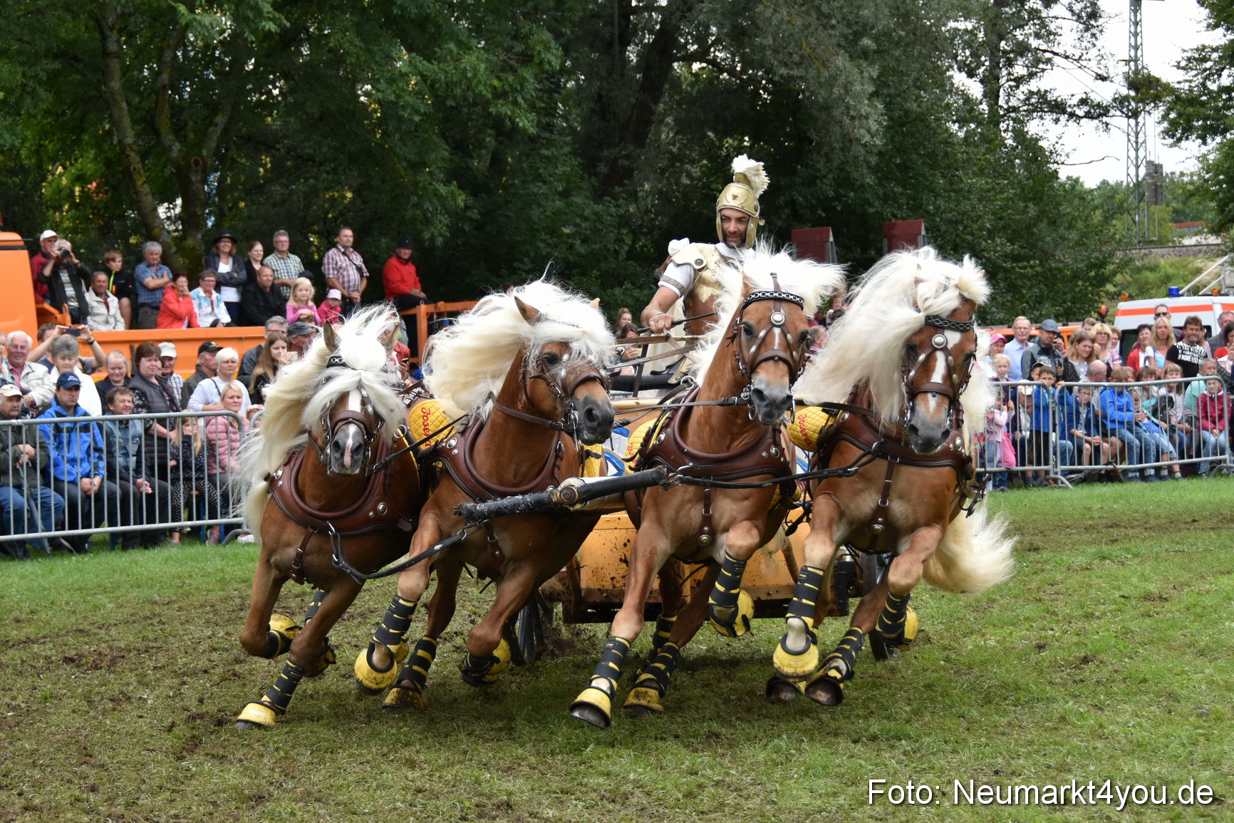 JURA Volksfest Pferdeshow 190819 0379