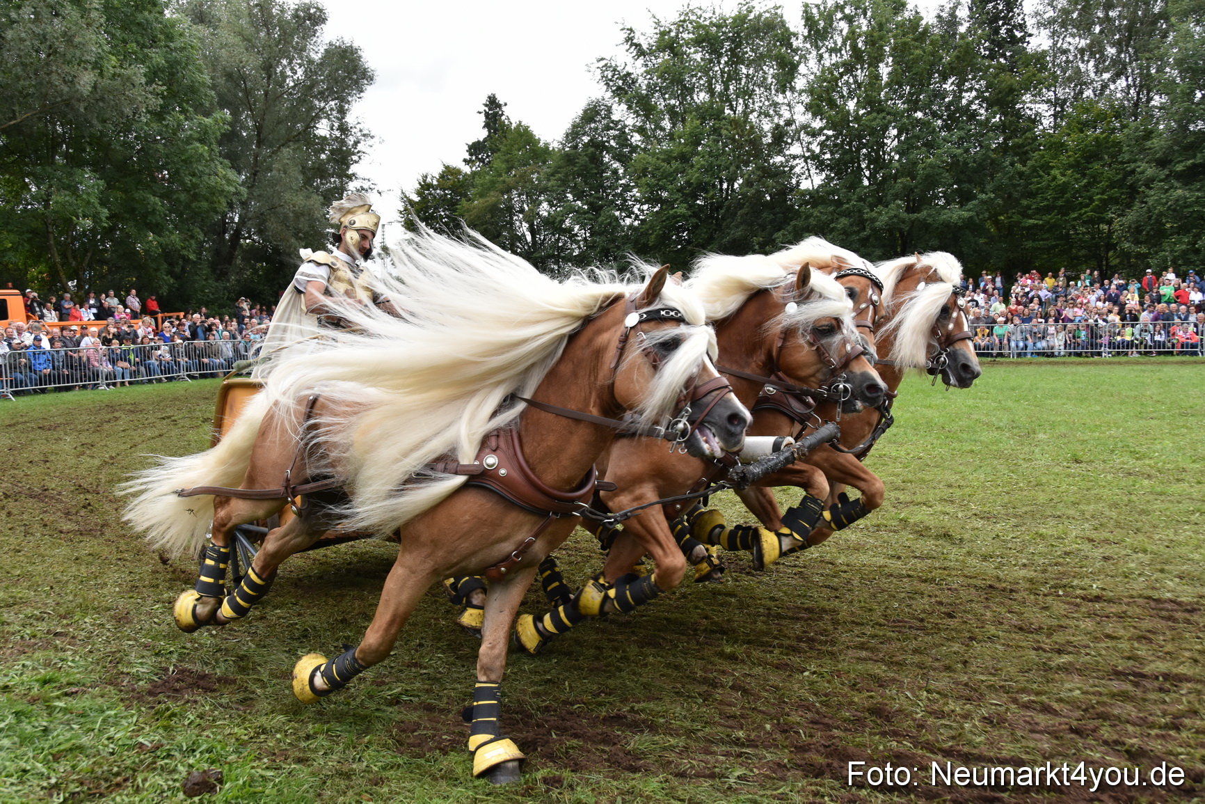 JURA Volksfest Pferdeshow 190819 0380