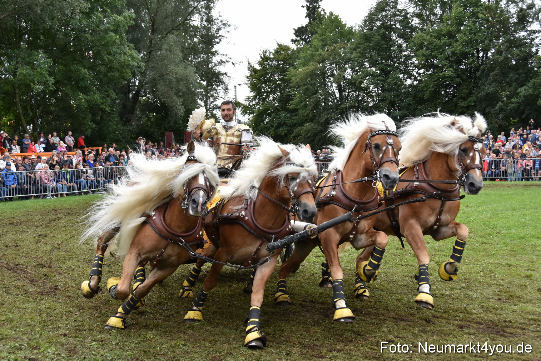 JURA Volksfest Pferdeshow 190819 0381