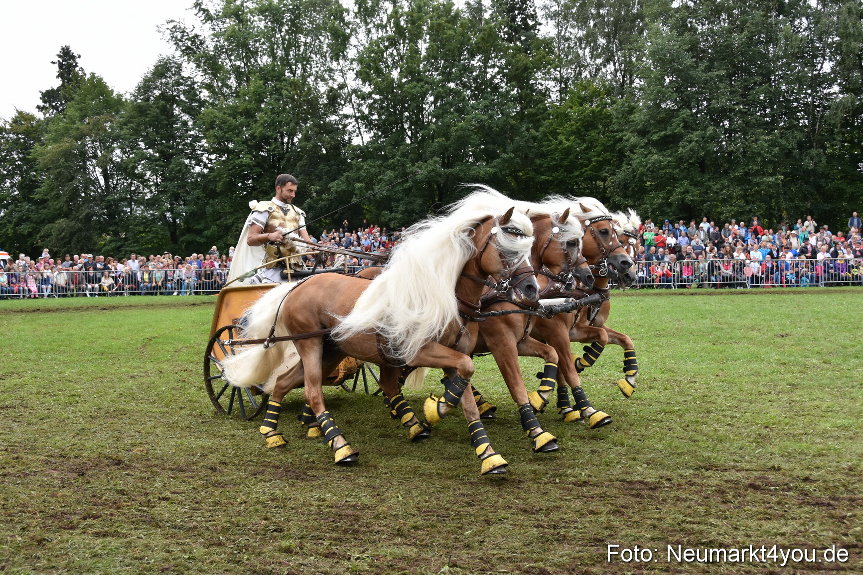 JURA Volksfest Pferdeshow 190819 0383
