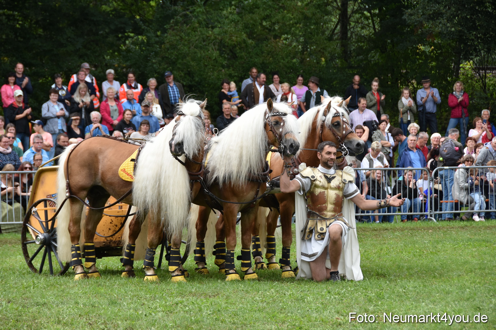 JURA Volksfest Pferdeshow 190819 0384