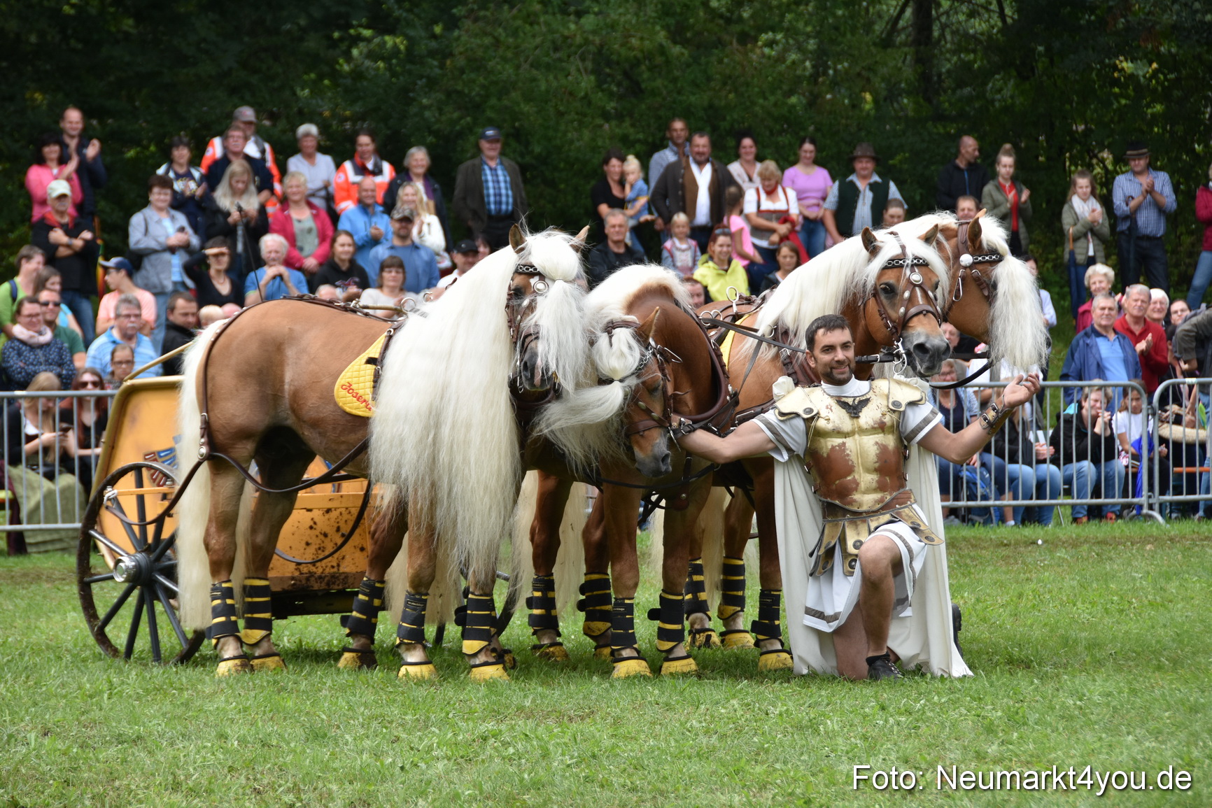 JURA Volksfest Pferdeshow 190819 0385