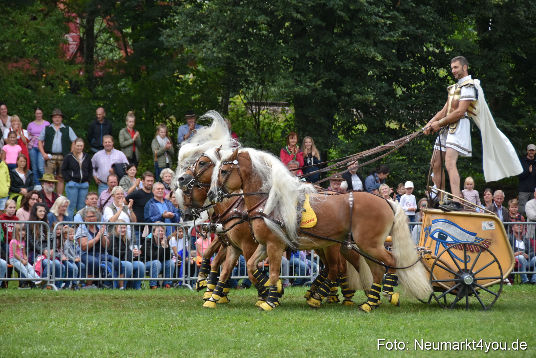 JURA Volksfest Pferdeshow 190819 0386