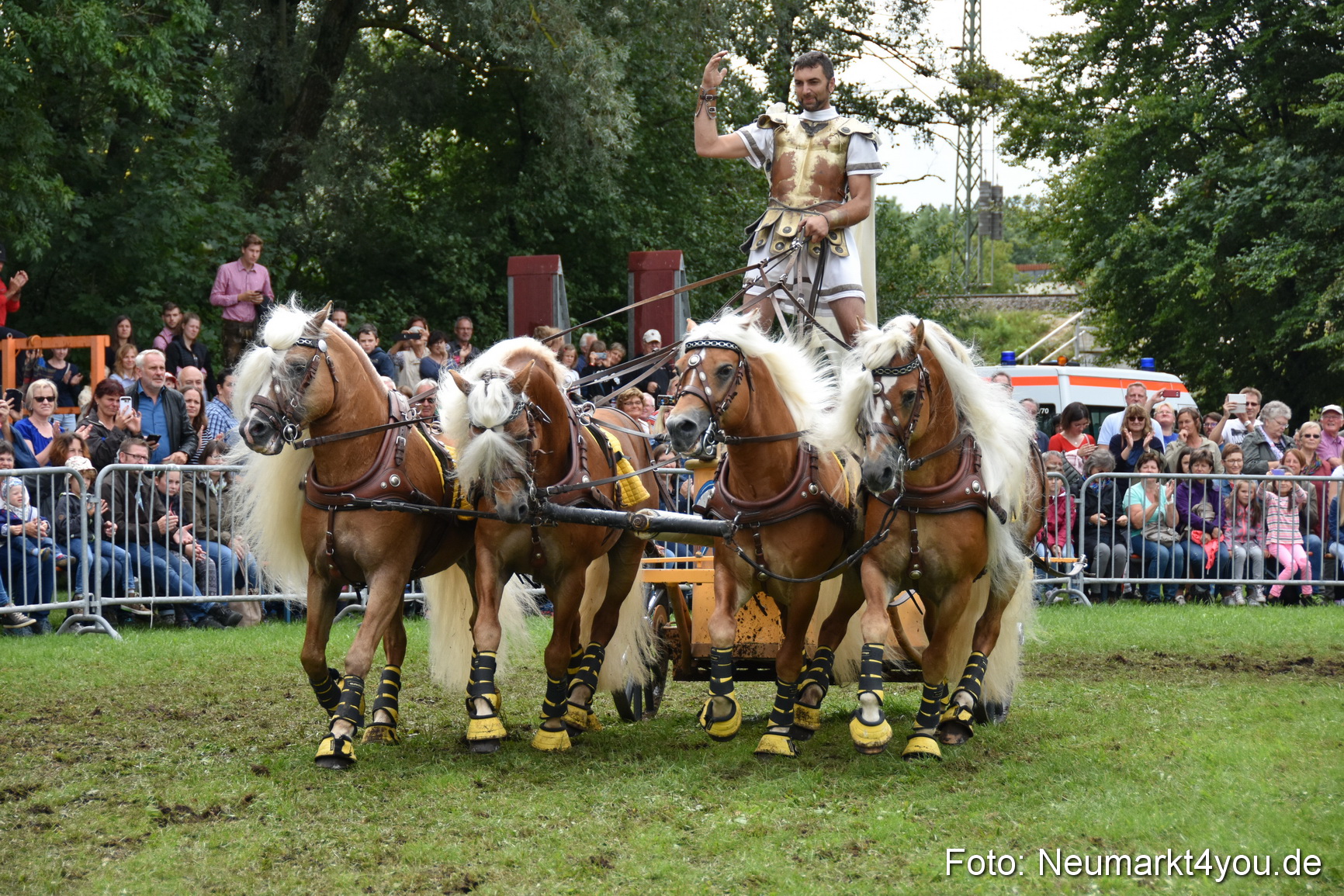 JURA Volksfest Pferdeshow 190819 0388