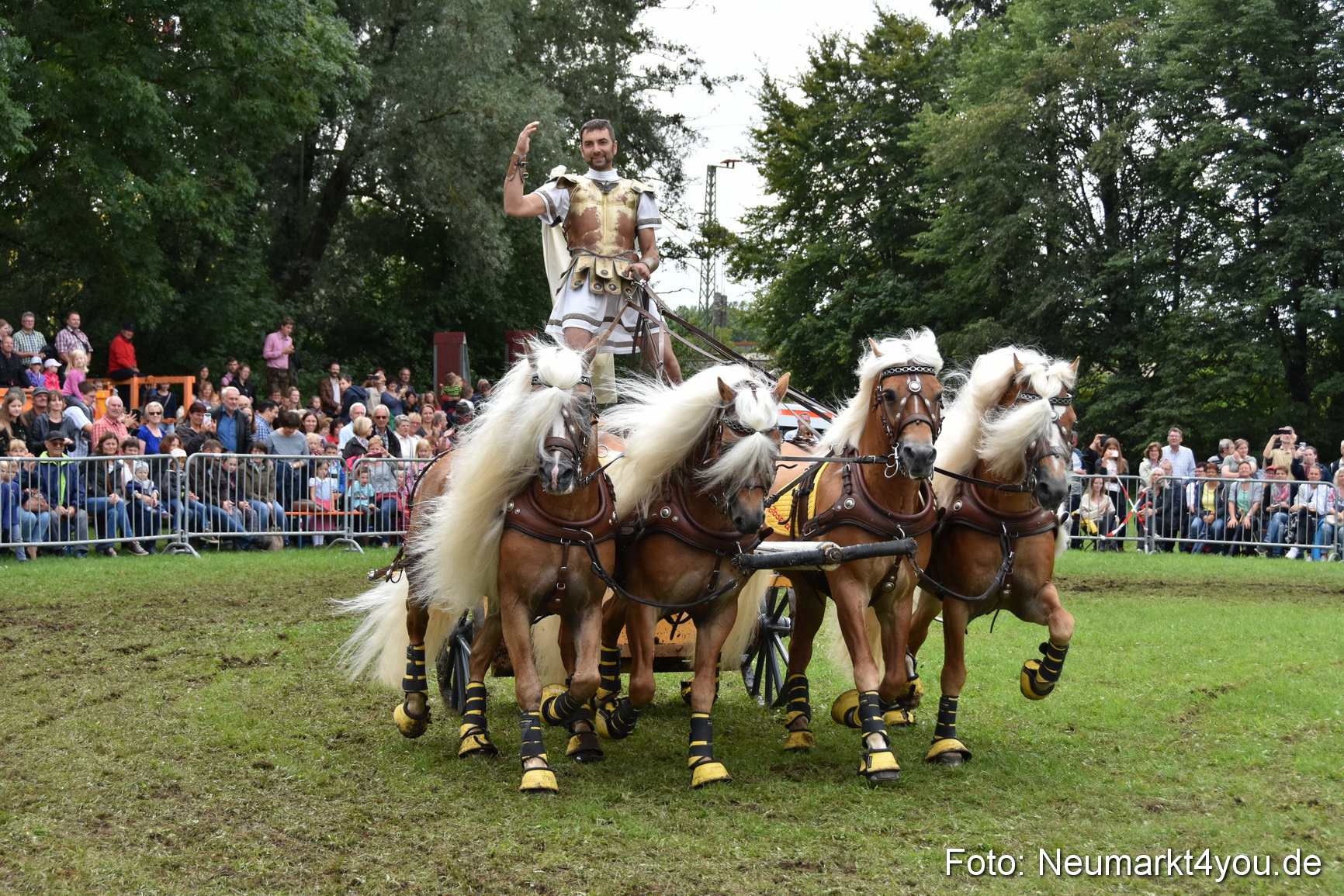 JURA Volksfest Pferdeshow 190819 0389