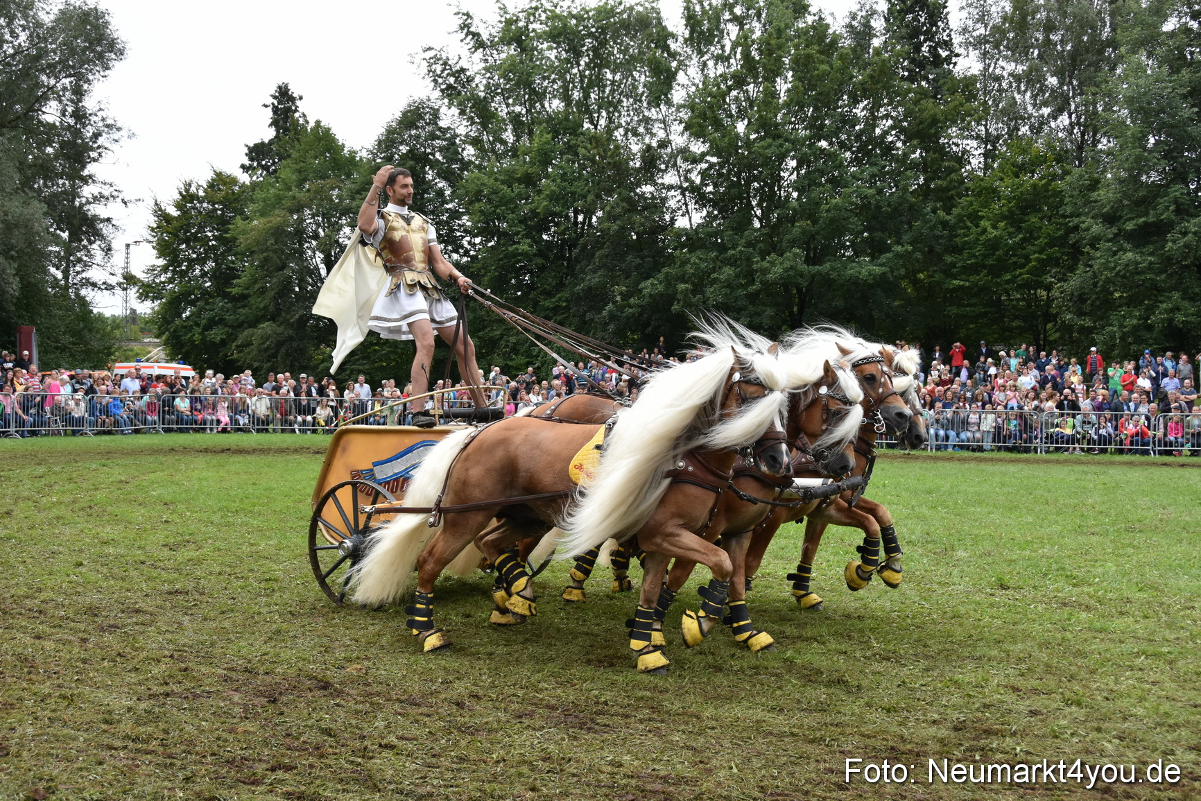 JURA Volksfest Pferdeshow 190819 0390