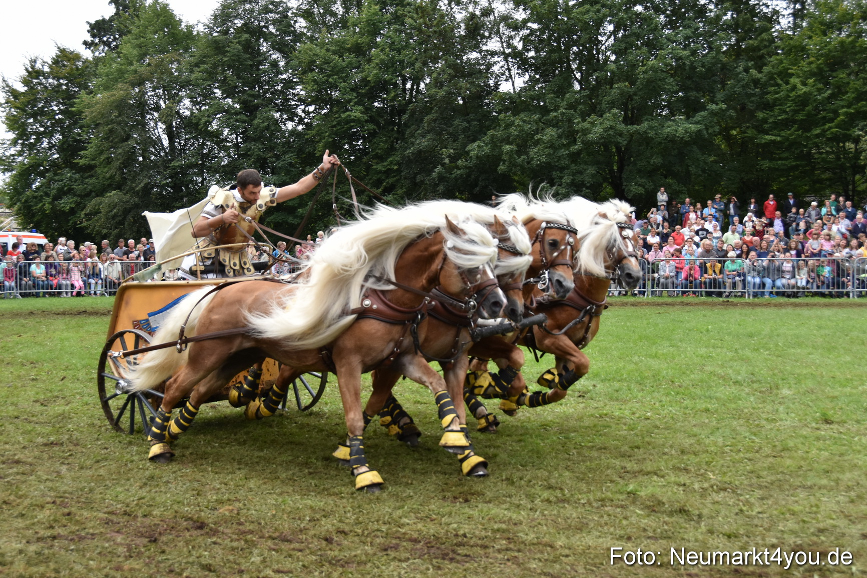 JURA Volksfest Pferdeshow 190819 0391