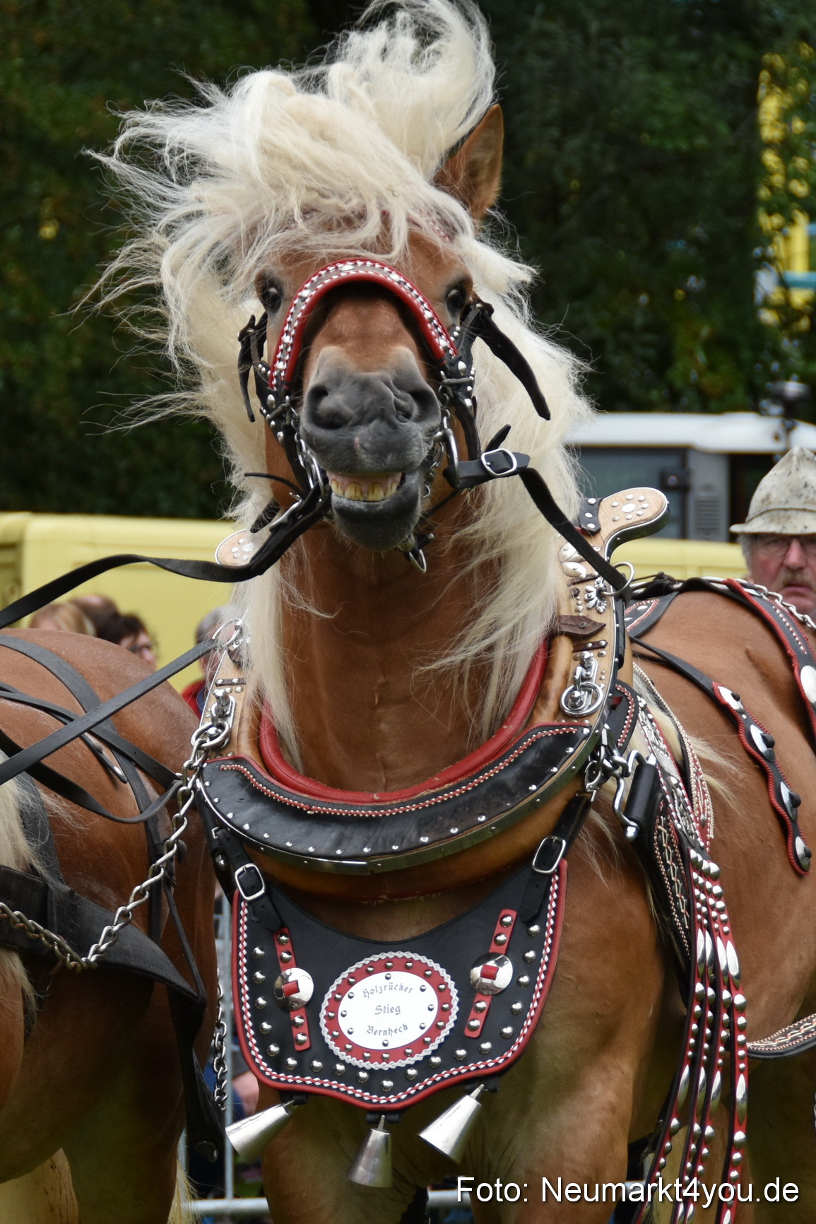 JURA Volksfest Pferdeshow 190819 0392