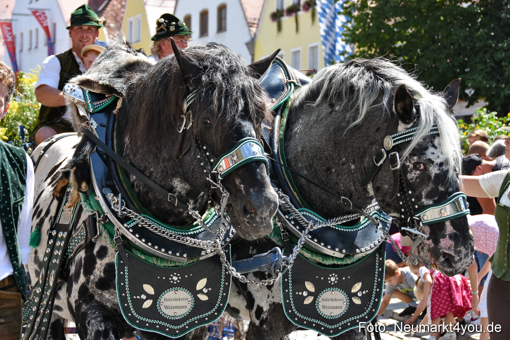 Volksfestzug Neumarkt 2019 0095