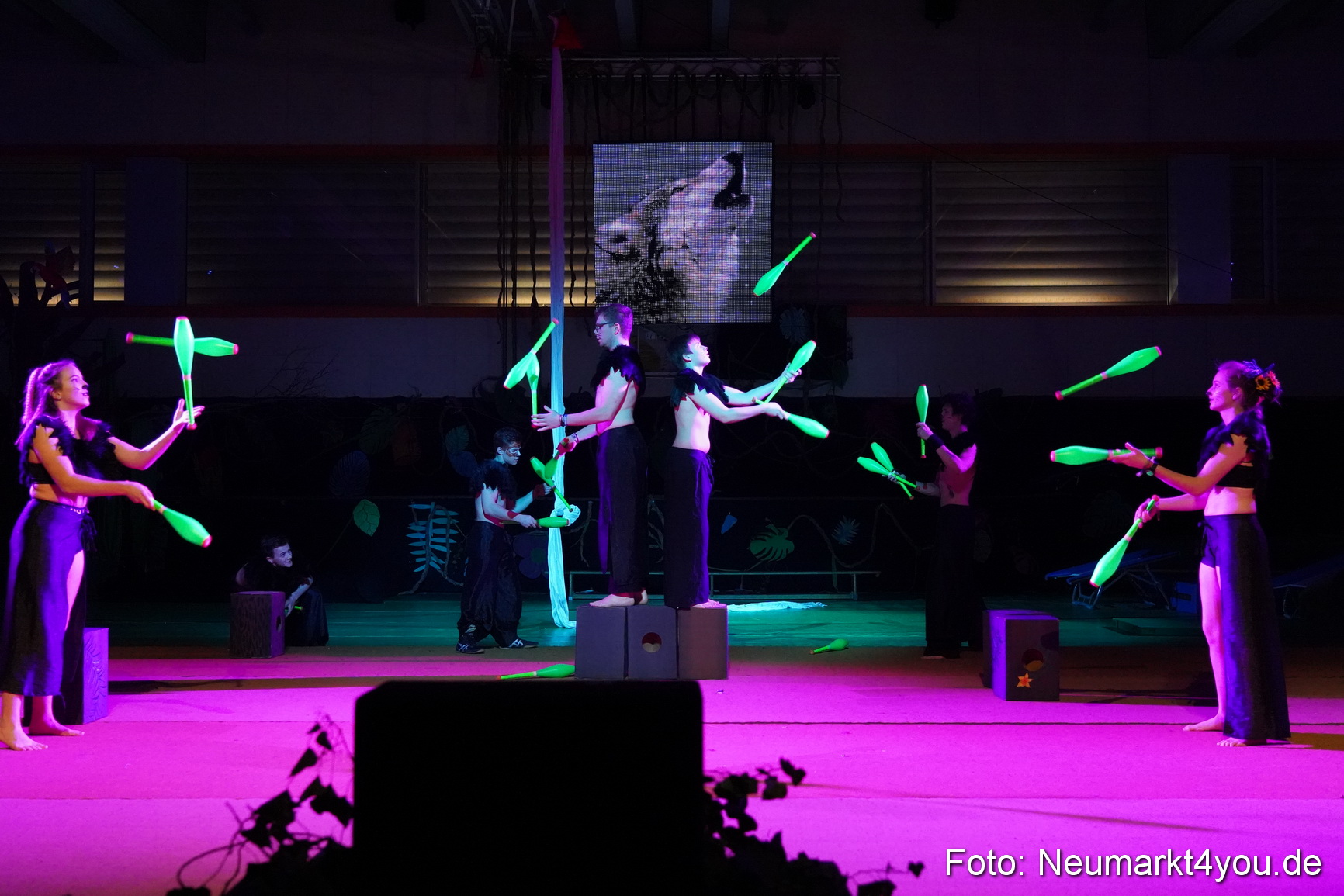 Artico Artistical Dschungelbuch 260220 0019