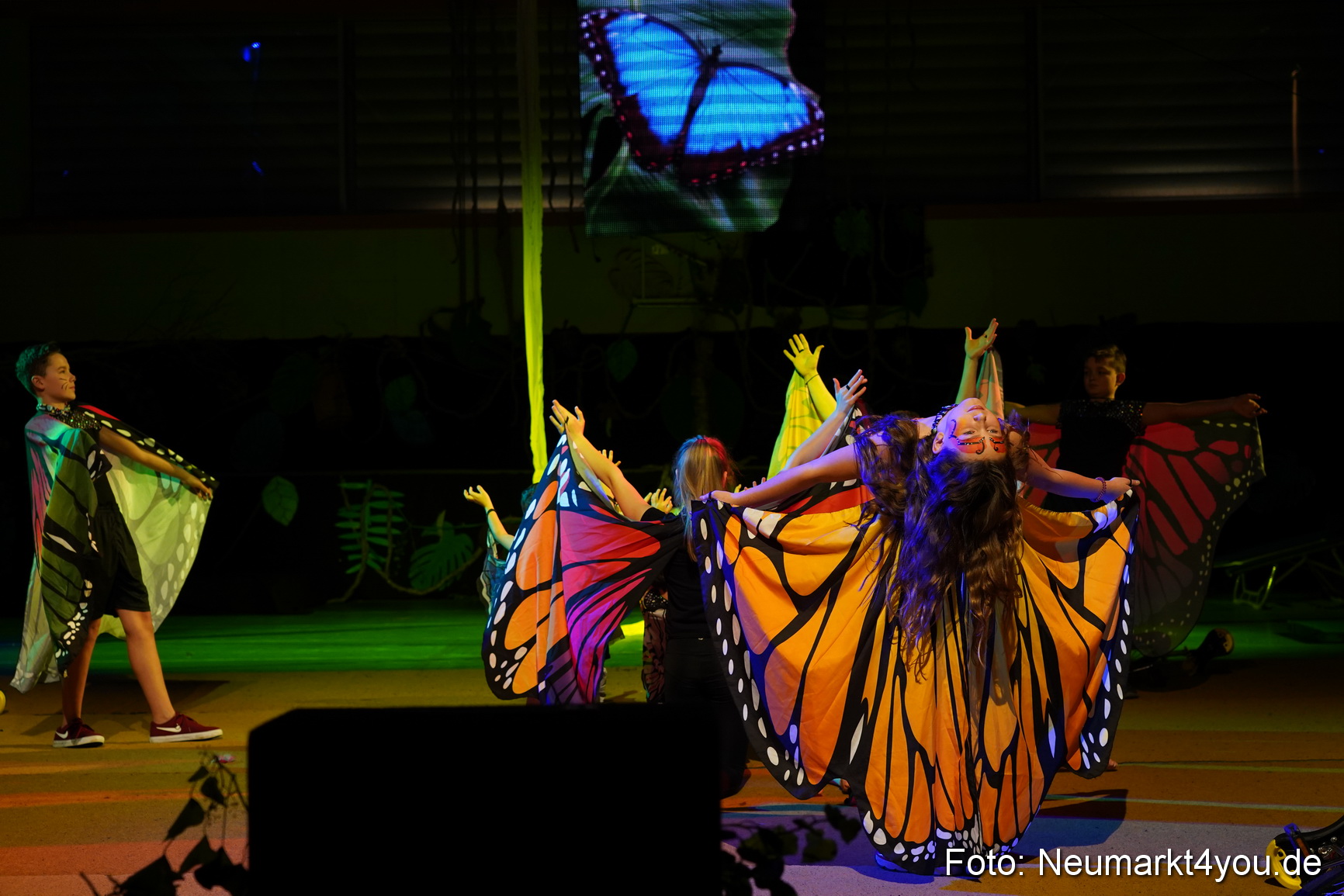 Artico Artistical Dschungelbuch 260220 0022