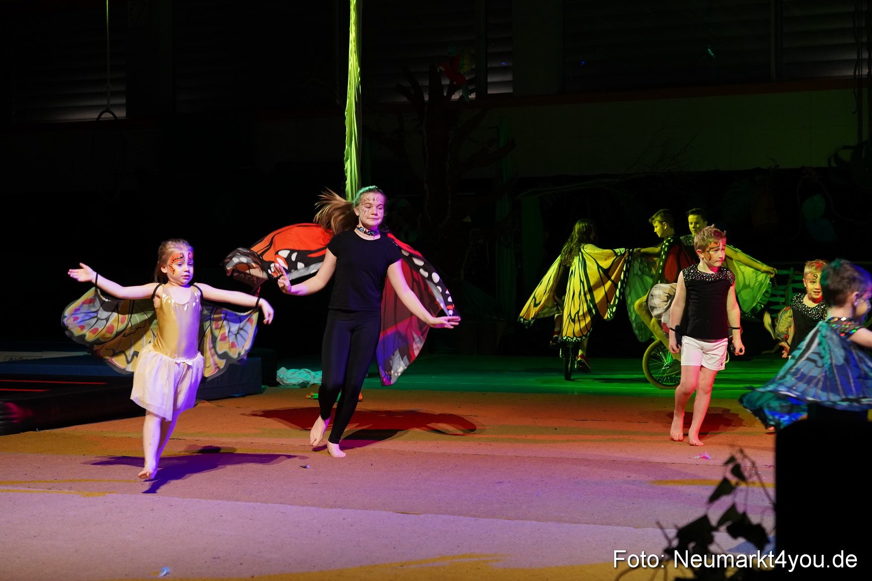 Artico Artistical Dschungelbuch 260220 0024