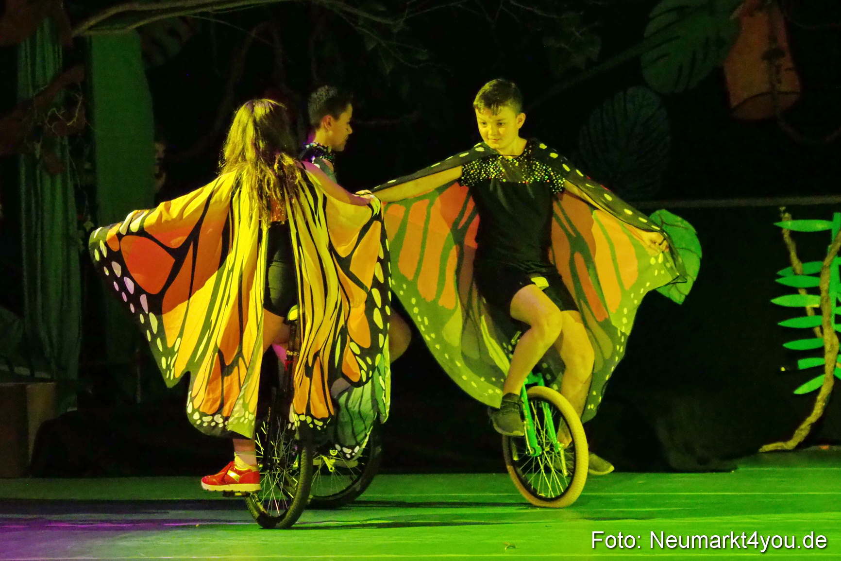 Artico Artistical Dschungelbuch 260220 0053