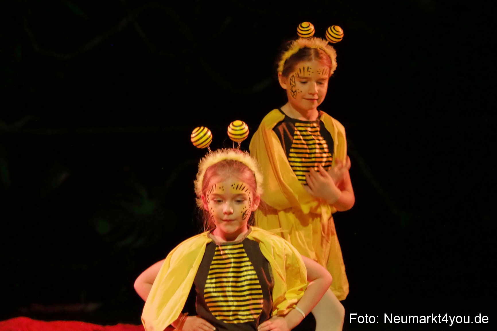 Artico Artistical Dschungelbuch 260220 0063