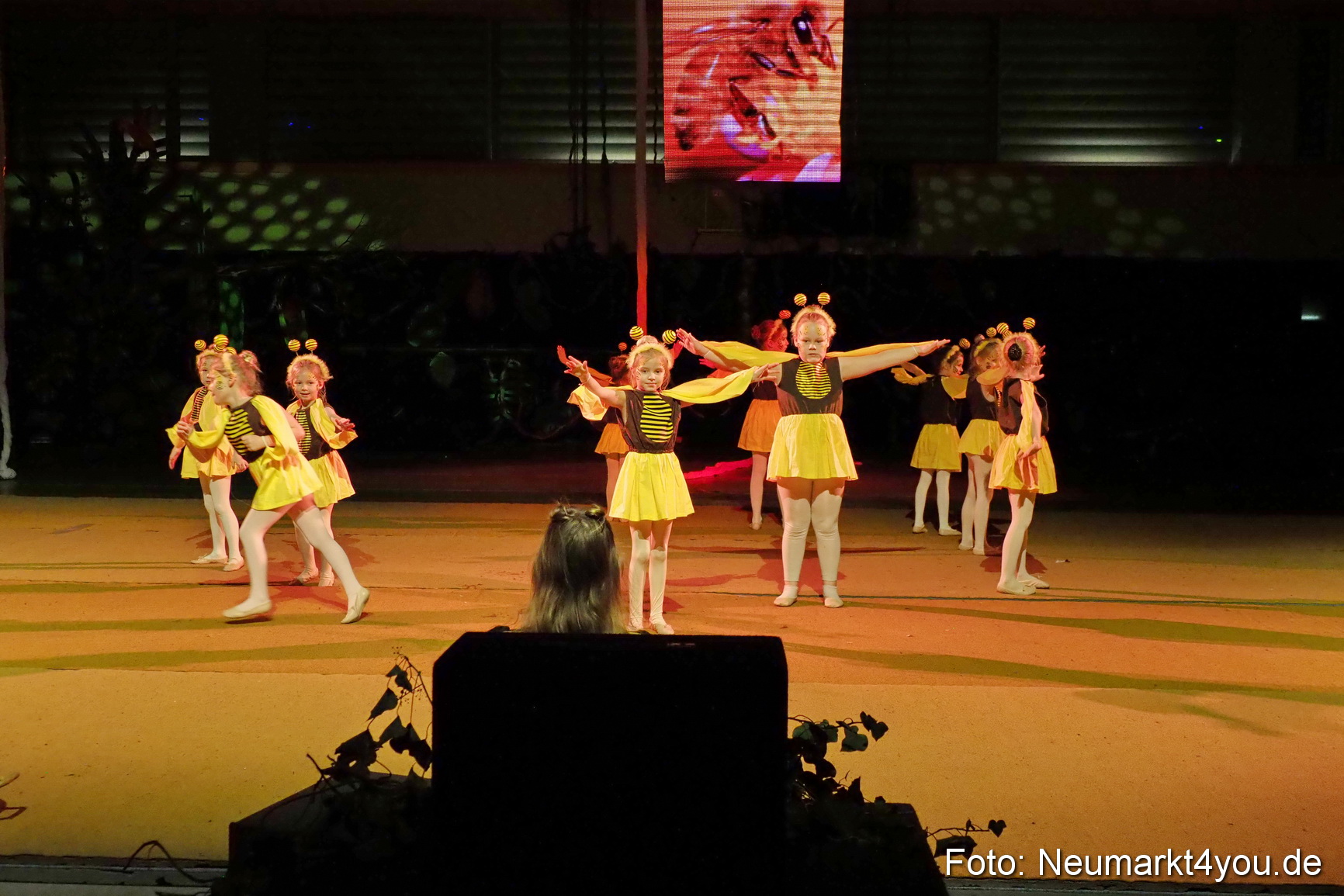 Artico Artistical Dschungelbuch 260220 0066