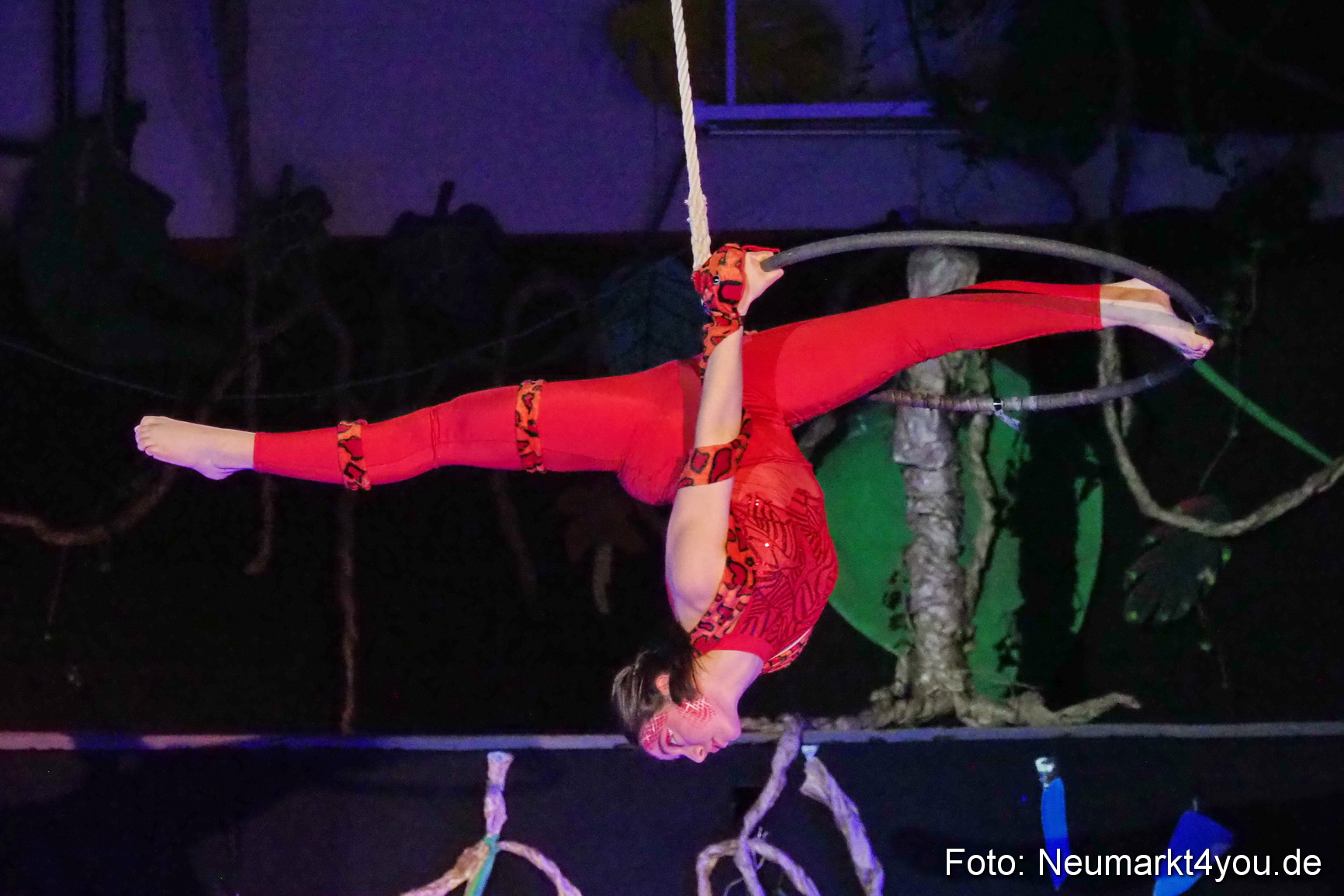 Artico Artistical Dschungelbuch 260220 0131