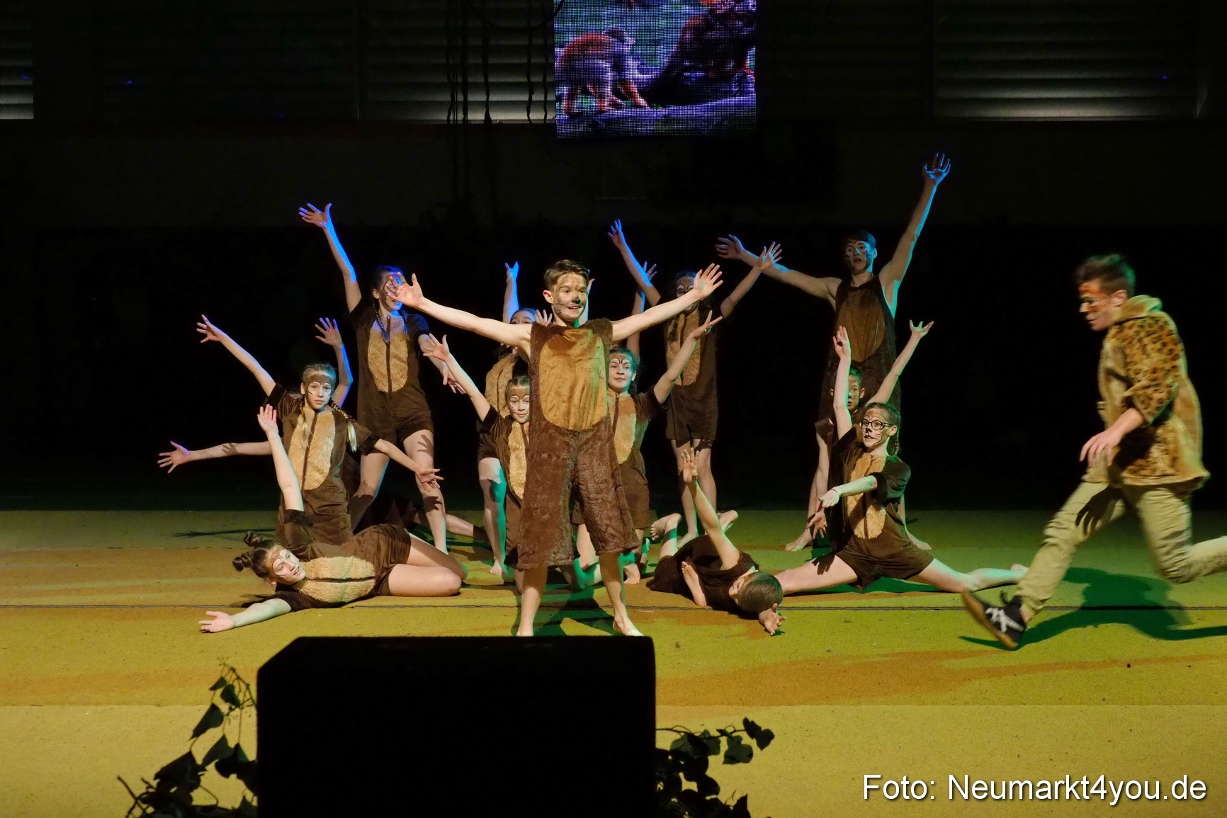 Artico Artistical Dschungelbuch 260220 0187